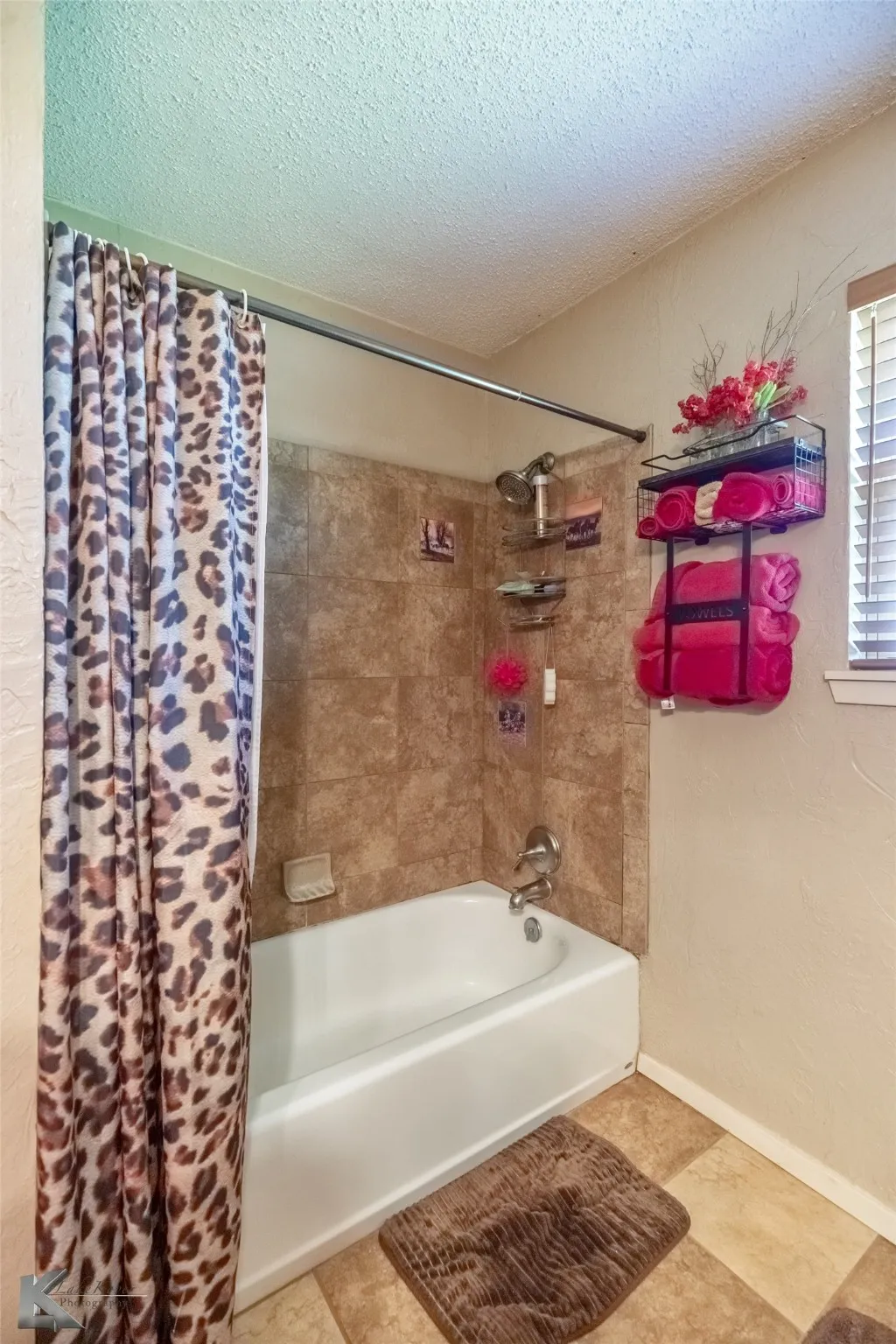 Hall Bathroom Shower/tub