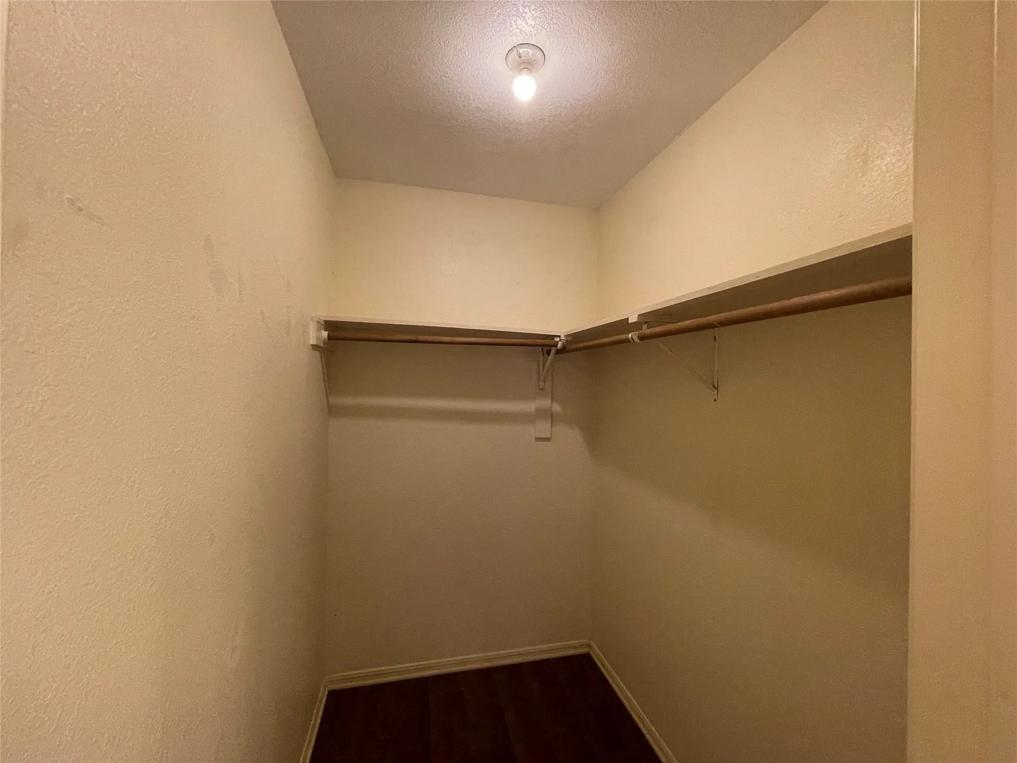 Spacious closet featuring dark wood-type flooring