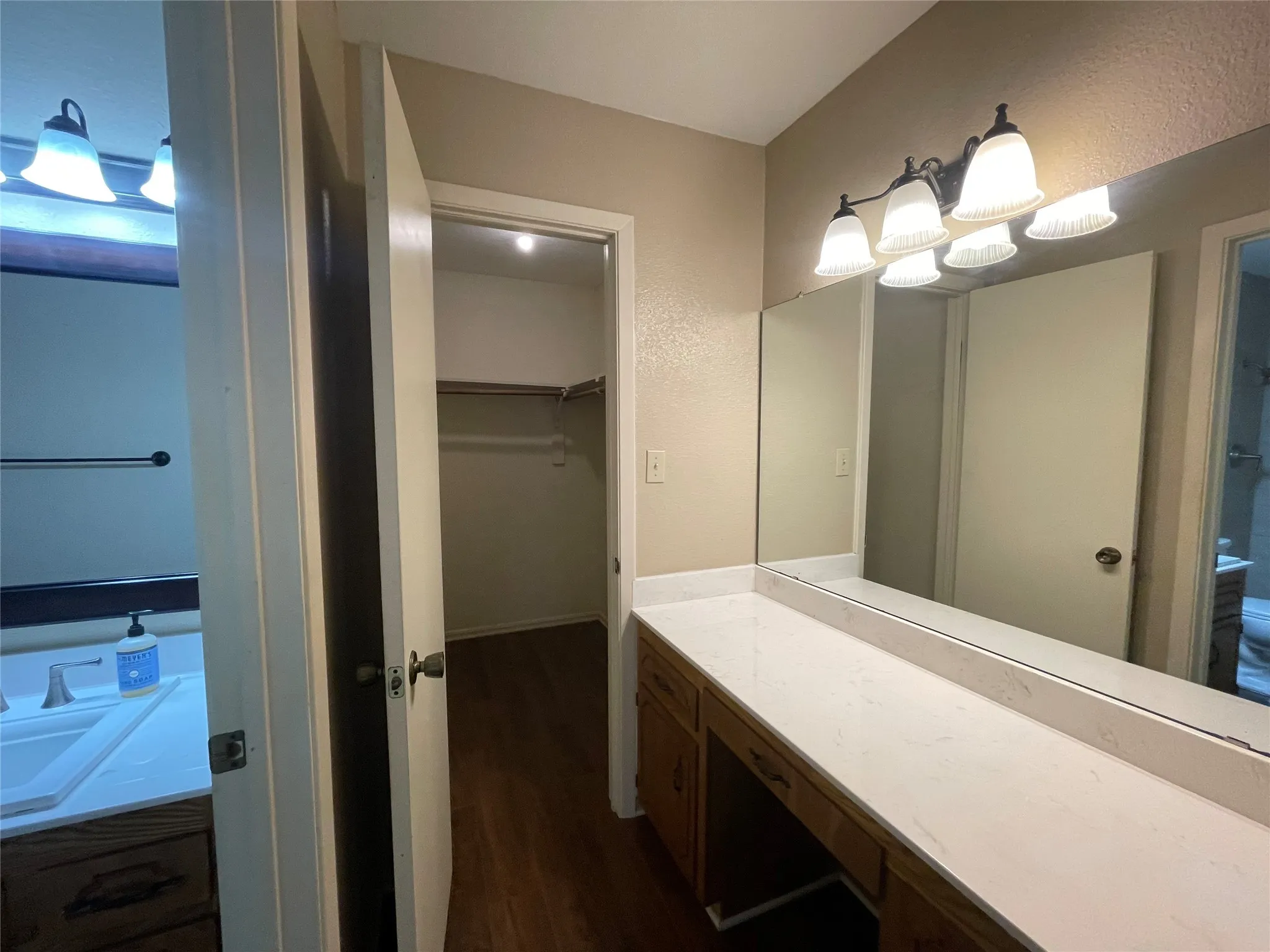 Bathroom featuring wood finished floors, vanity, and a spacious closet