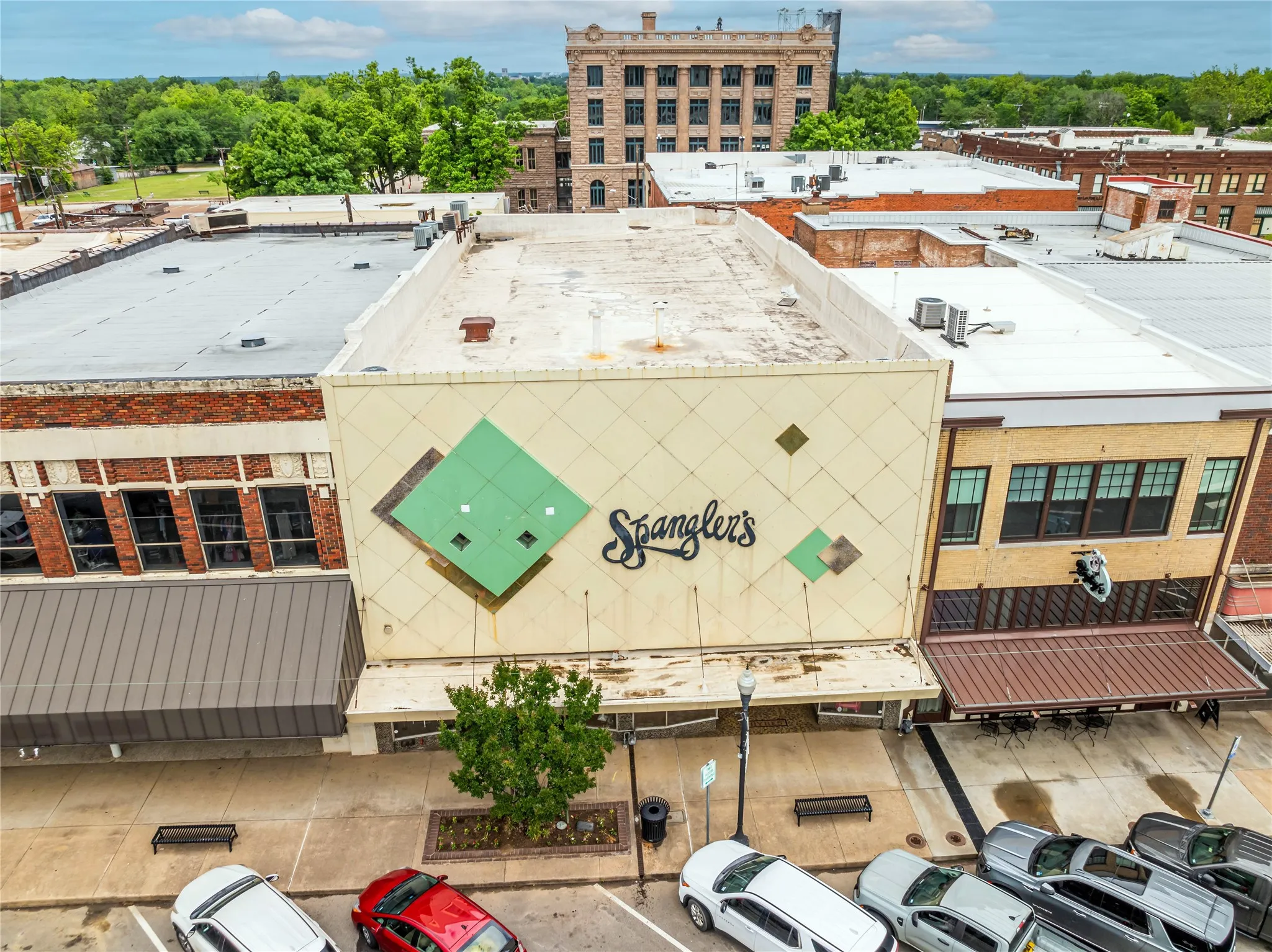 Bird's eye view