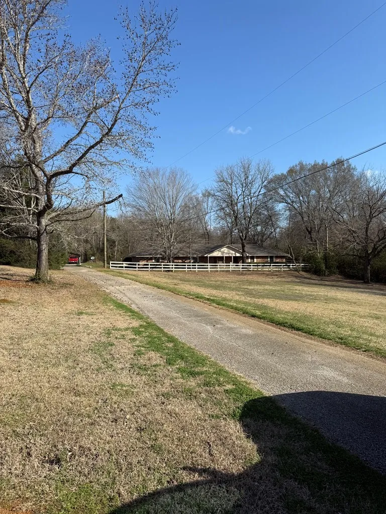 View of yard featuring dirt driveway