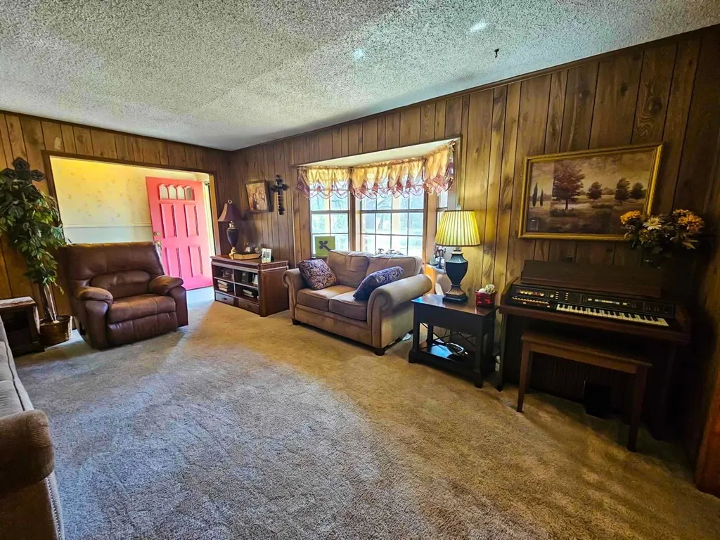 Living area featuring carpet floors, a textured ceiling, and wooden walls
