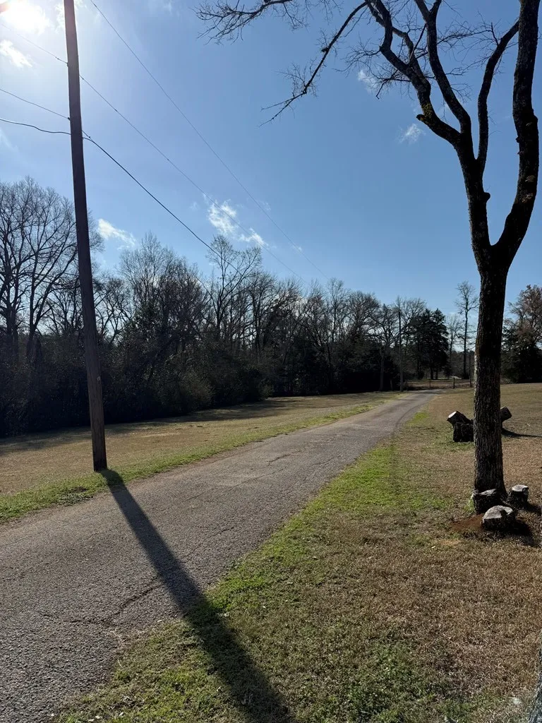 View of road