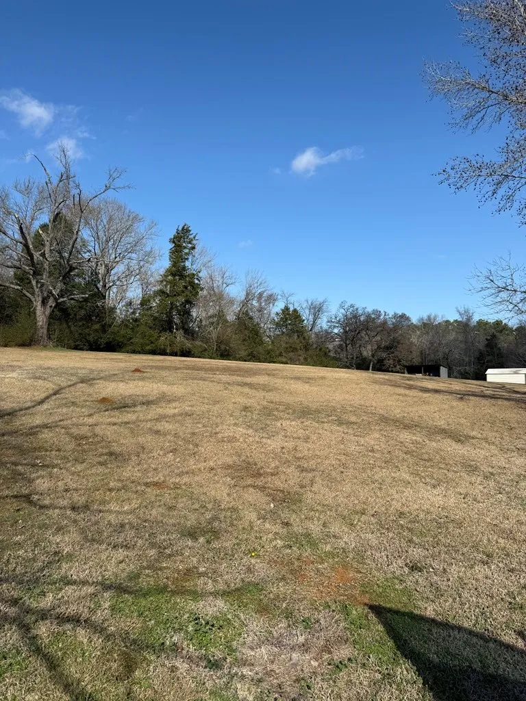 View of grassy yard with a view of rural / pastoral area