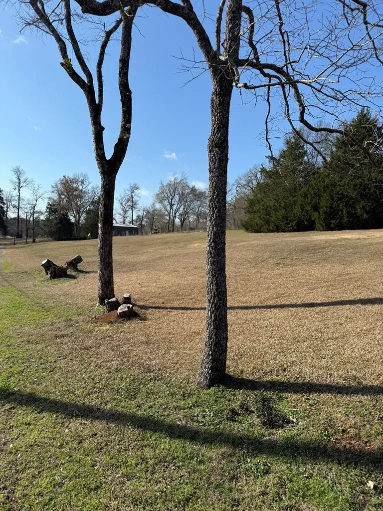View of property's community with a lawn
