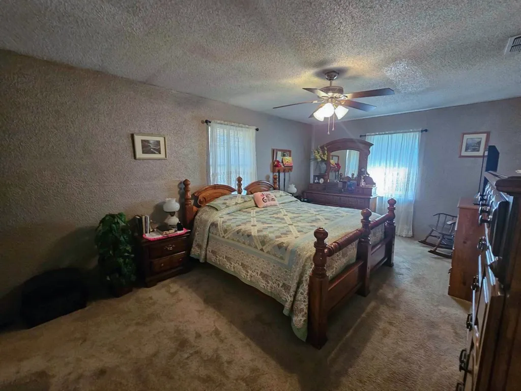 Carpeted bedroom featuring multiple windows, ceiling fan, a textured ceiling, and a textured wall