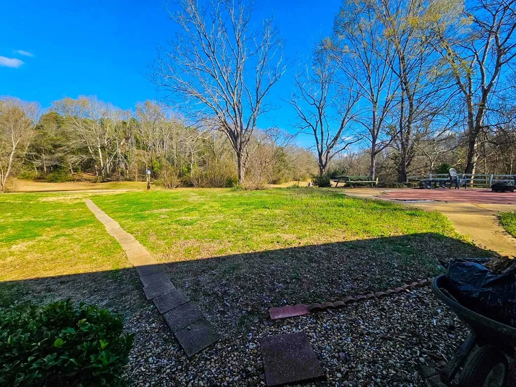 View of green lawn