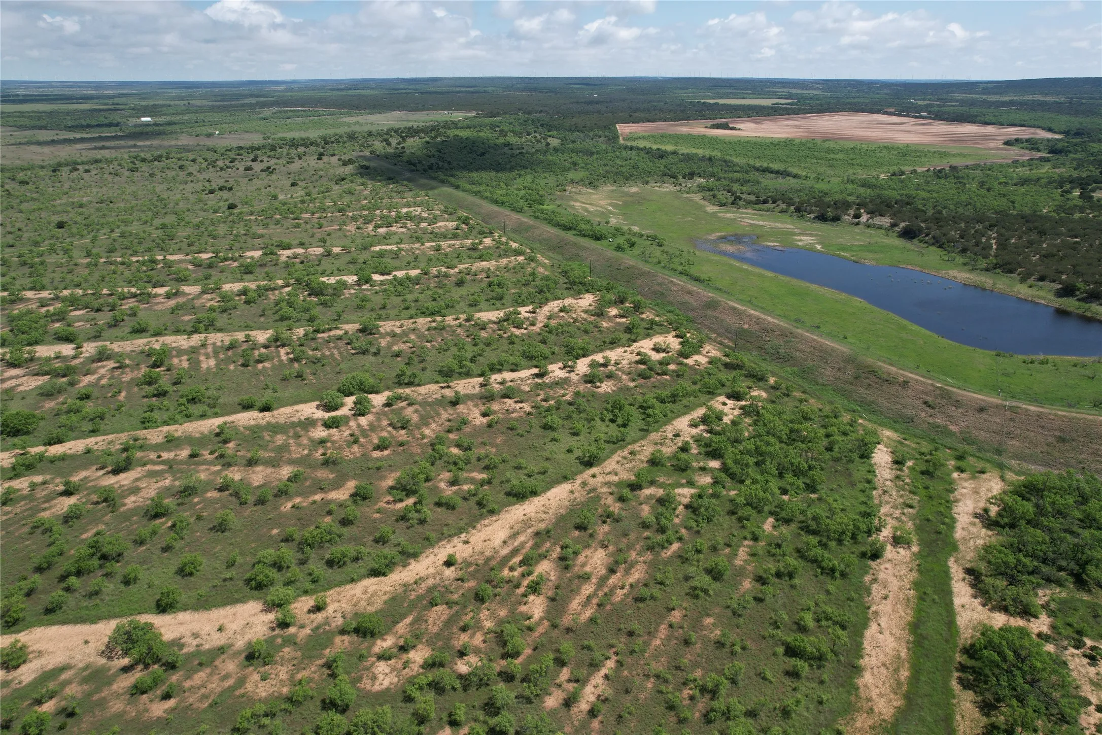 Ranch For Sale in Taylor County , CR 209 County Road 209, Wingate, Texas 79566, 0, 0, Garage spaces, 0 Sqft, built in 0, mls#20939105, Real Estate Agent in Wingate, Homes For Sale in Taylor county, Homes For Sale in Wingate, Realtor in Wingate Texas, Real Estate Brokerage Independent Realty Texas, Luminita Cordes Realtor
