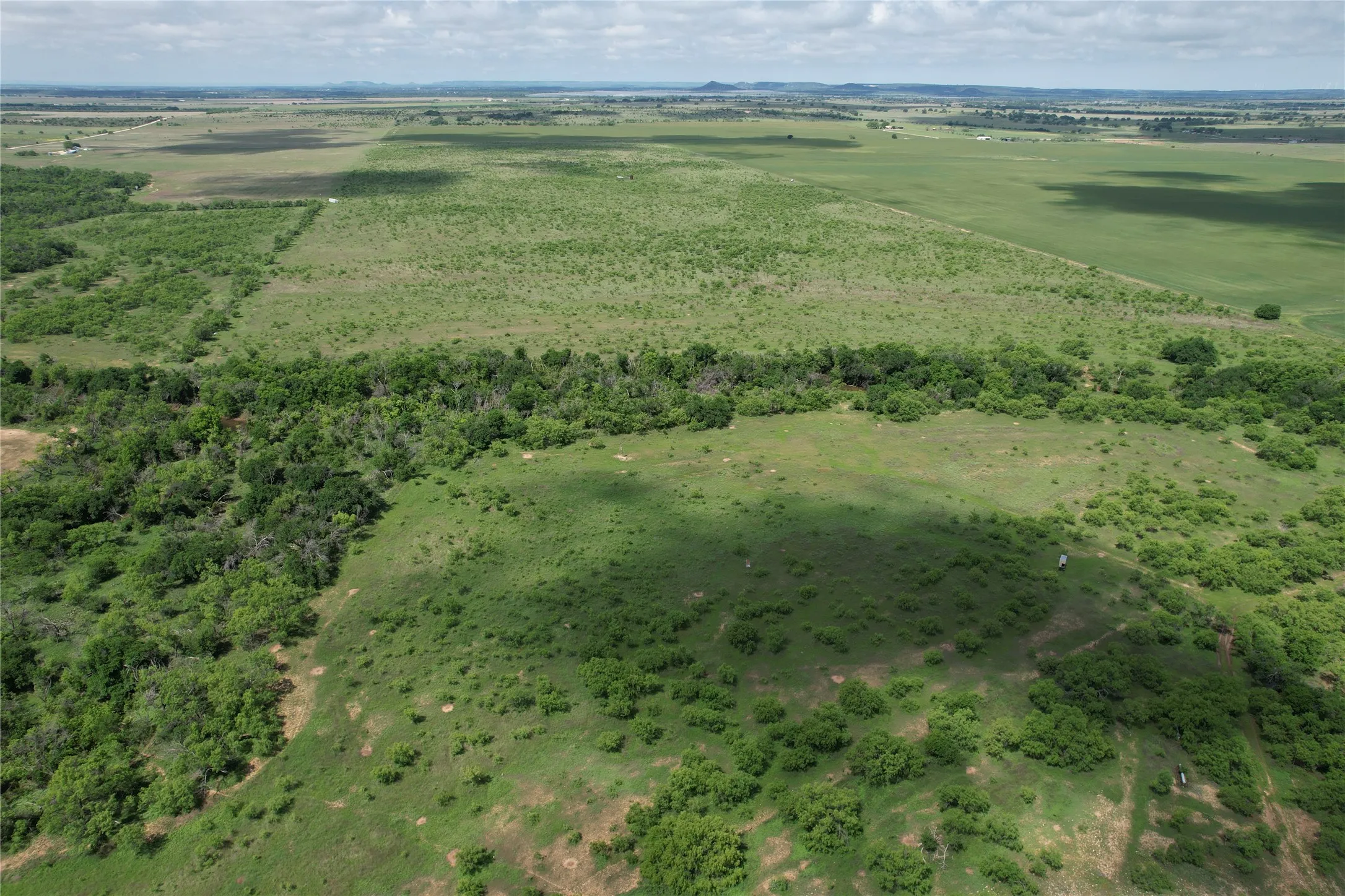 Ranch For Sale in Taylor County , CR 209 County Road 209, Wingate, Texas 79566, 0, 0, Garage spaces, 0 Sqft, built in 0, mls#20939105, Real Estate Agent in Wingate, Homes For Sale in Taylor county, Homes For Sale in Wingate, Realtor in Wingate Texas, Real Estate Brokerage Independent Realty Texas, Luminita Cordes Realtor