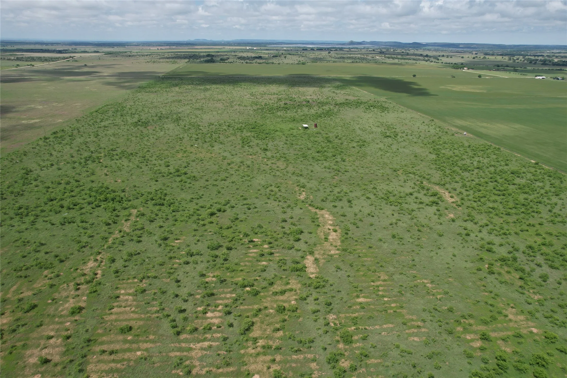 Ranch For Sale in Taylor County , CR 209 County Road 209, Wingate, Texas 79566, 0, 0, Garage spaces, 0 Sqft, built in 0, mls#20939105, Real Estate Agent in Wingate, Homes For Sale in Taylor county, Homes For Sale in Wingate, Realtor in Wingate Texas, Real Estate Brokerage Independent Realty Texas, Luminita Cordes Realtor