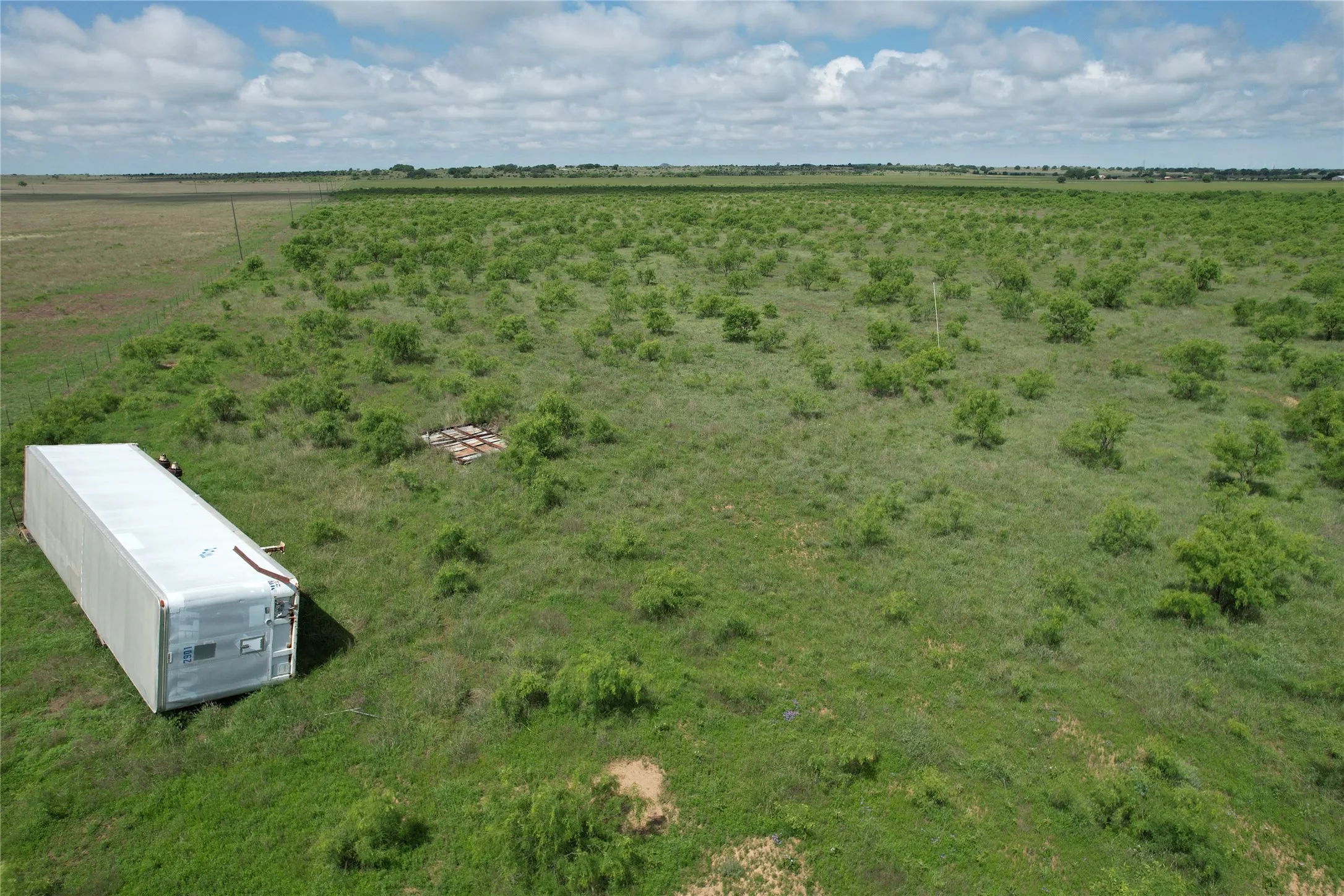 Ranch For Sale in Taylor County , CR 209 County Road 209, Wingate, Texas 79566, 0, 0, Garage spaces, 0 Sqft, built in 0, mls#20939105, Real Estate Agent in Wingate, Homes For Sale in Taylor county, Homes For Sale in Wingate, Realtor in Wingate Texas, Real Estate Brokerage Independent Realty Texas, Luminita Cordes Realtor