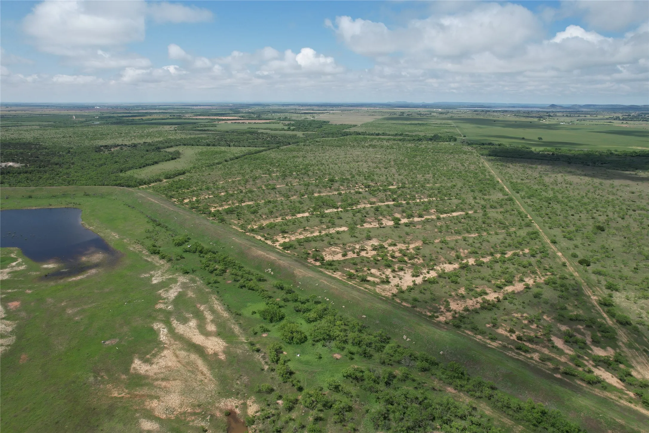 Ranch For Sale in Taylor County , CR 209 County Road 209, Wingate, Texas 79566, 0, 0, Garage spaces, 0 Sqft, built in 0, mls#20939105, Real Estate Agent in Wingate, Homes For Sale in Taylor county, Homes For Sale in Wingate, Realtor in Wingate Texas, Real Estate Brokerage Independent Realty Texas, Luminita Cordes Realtor