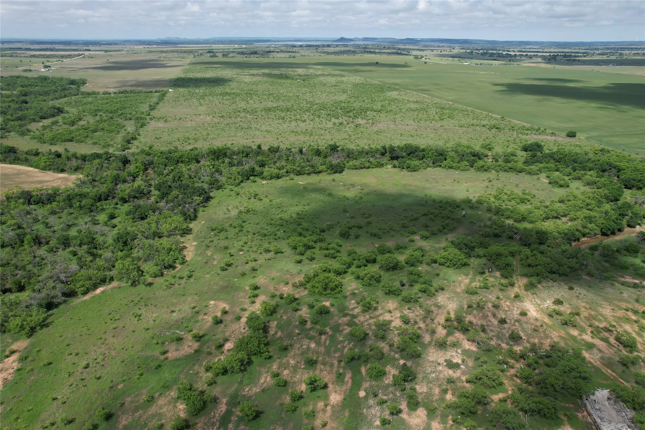 Ranch For Sale in Taylor County , CR 209 County Road 209, Wingate, Texas 79566, 0, 0, Garage spaces, 0 Sqft, built in 0, mls#20939105, Real Estate Agent in Wingate, Homes For Sale in Taylor county, Homes For Sale in Wingate, Realtor in Wingate Texas, Real Estate Brokerage Independent Realty Texas, Luminita Cordes Realtor
