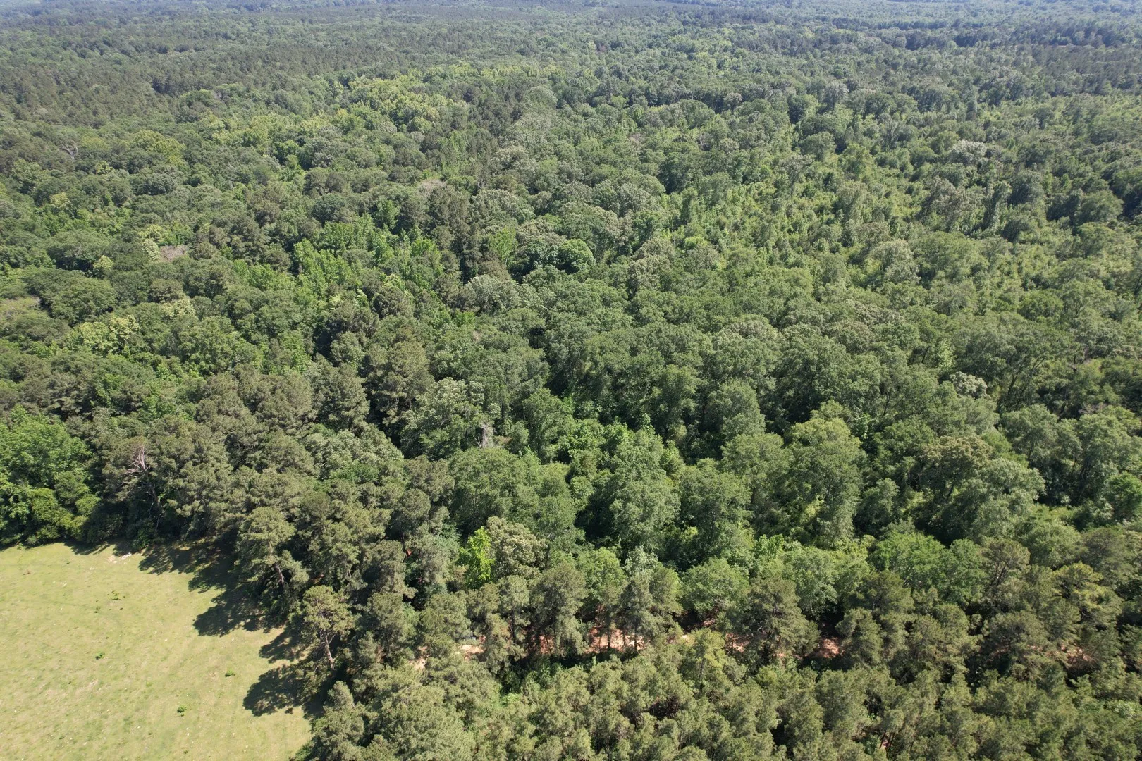 Unimproved Land For Sale in Shelby County , TBD-G County Road 4021, Timpson, Texas 75975, 0, 0, Garage spaces, 0 Sqft, built in 0, Price $113,250, mls#20940063, Real Estate Agent in Timpson, Homes For Sale in Shelby county, Homes For Sale in Timpson, Realtor in Timpson Texas, Real Estate Brokerage Independent Realty Texas, Luminita Cordes Realtor