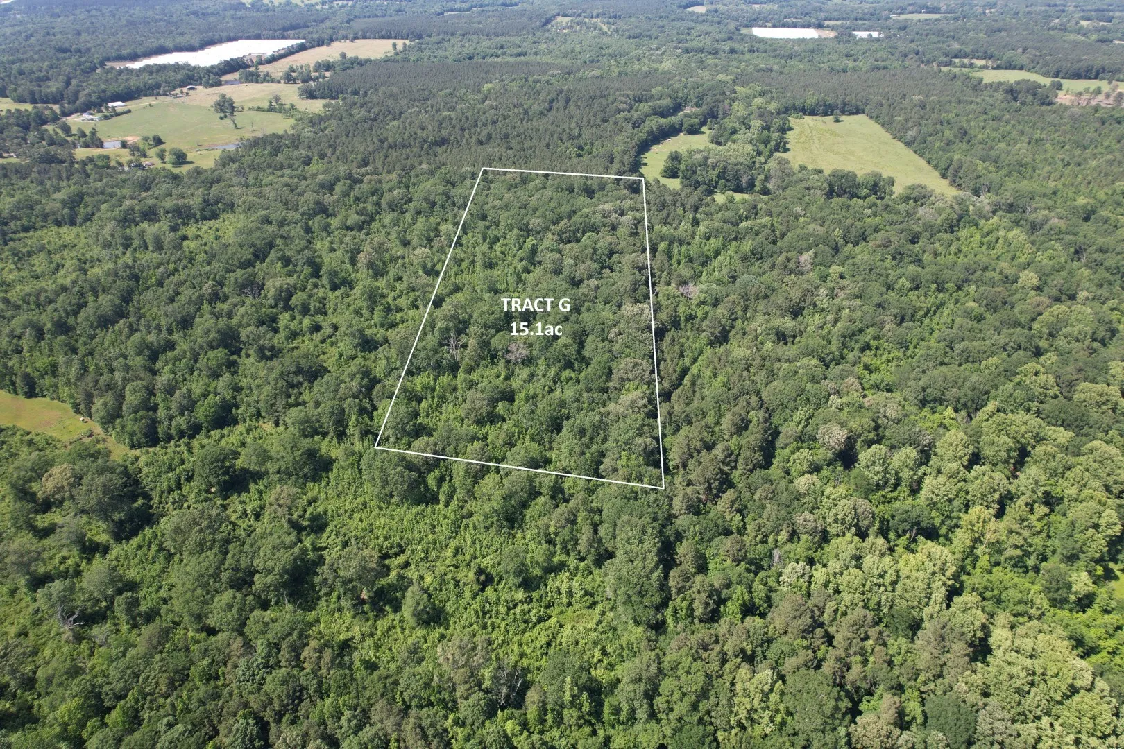 Unimproved Land For Sale in Shelby County , TBD-G County Road 4021, Timpson, Texas 75975, 0, 0, Garage spaces, 0 Sqft, built in 0, Price $113,250, mls#20940063, Real Estate Agent in Timpson, Homes For Sale in Shelby county, Homes For Sale in Timpson, Realtor in Timpson Texas, Real Estate Brokerage Independent Realty Texas, Luminita Cordes Realtor
