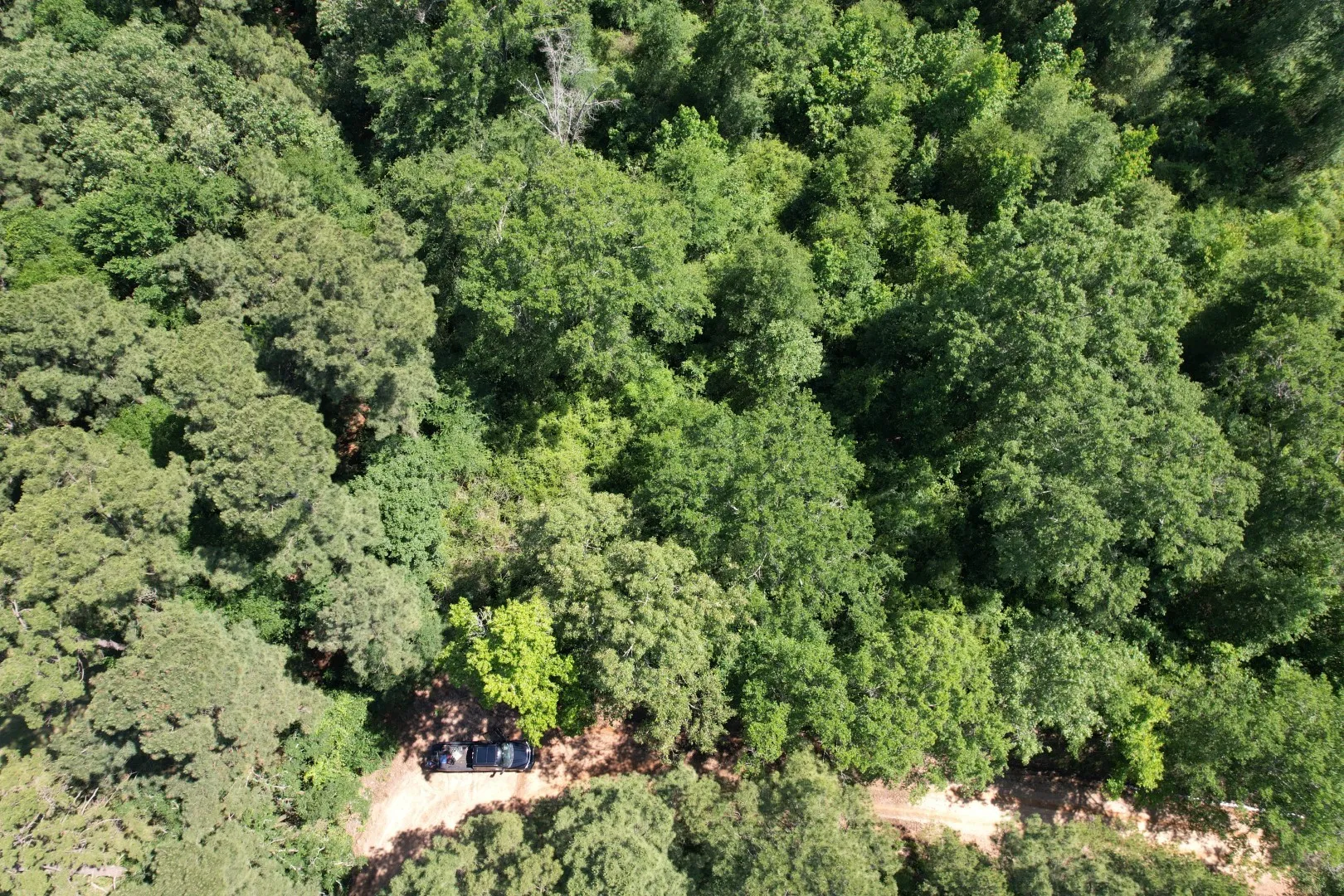 Unimproved Land For Sale in Shelby County , TBD-G County Road 4021, Timpson, Texas 75975, 0, 0, Garage spaces, 0 Sqft, built in 0, Price $113,250, mls#20940063, Real Estate Agent in Timpson, Homes For Sale in Shelby county, Homes For Sale in Timpson, Realtor in Timpson Texas, Real Estate Brokerage Independent Realty Texas, Luminita Cordes Realtor