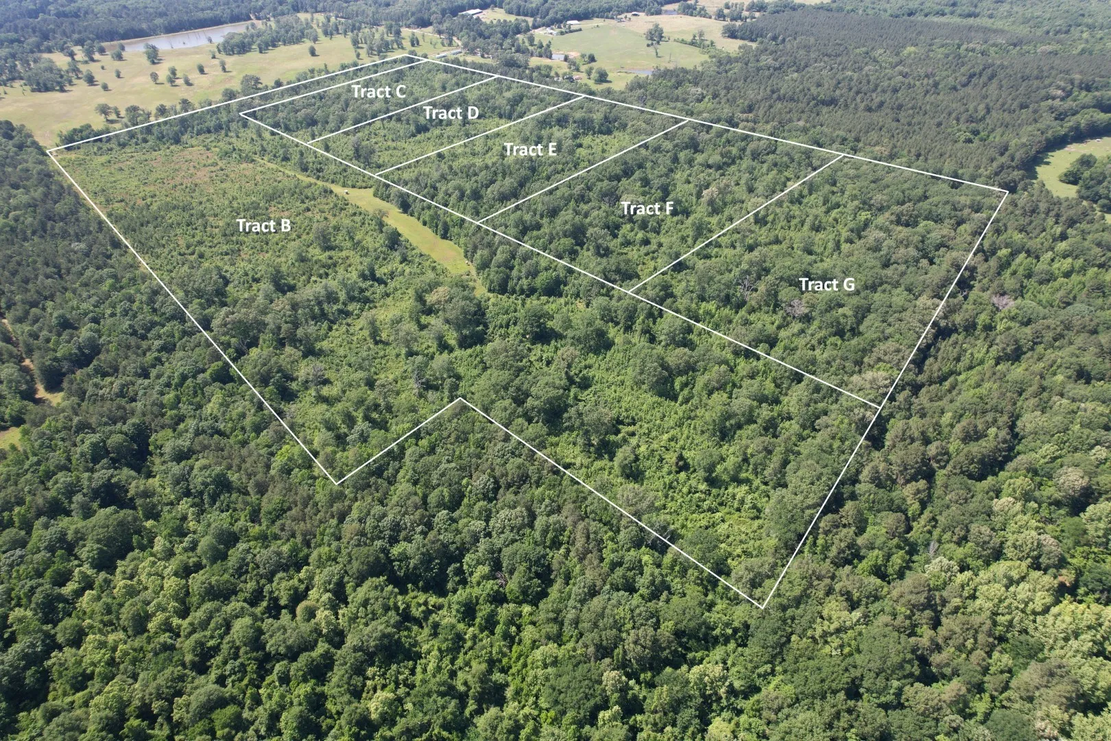 Unimproved Land For Sale in Shelby County , TBD-G County Road 4021, Timpson, Texas 75975, 0, 0, Garage spaces, 0 Sqft, built in 0, Price $113,250, mls#20940063, Real Estate Agent in Timpson, Homes For Sale in Shelby county, Homes For Sale in Timpson, Realtor in Timpson Texas, Real Estate Brokerage Independent Realty Texas, Luminita Cordes Realtor