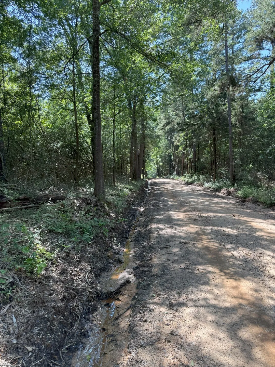 Unimproved Land For Sale in Shelby County , TBD-G County Road 4021, Timpson, Texas 75975, 0, 0, Garage spaces, 0 Sqft, built in 0, Price $113,250, mls#20940063, Real Estate Agent in Timpson, Homes For Sale in Shelby county, Homes For Sale in Timpson, Realtor in Timpson Texas, Real Estate Brokerage Independent Realty Texas, Luminita Cordes Realtor