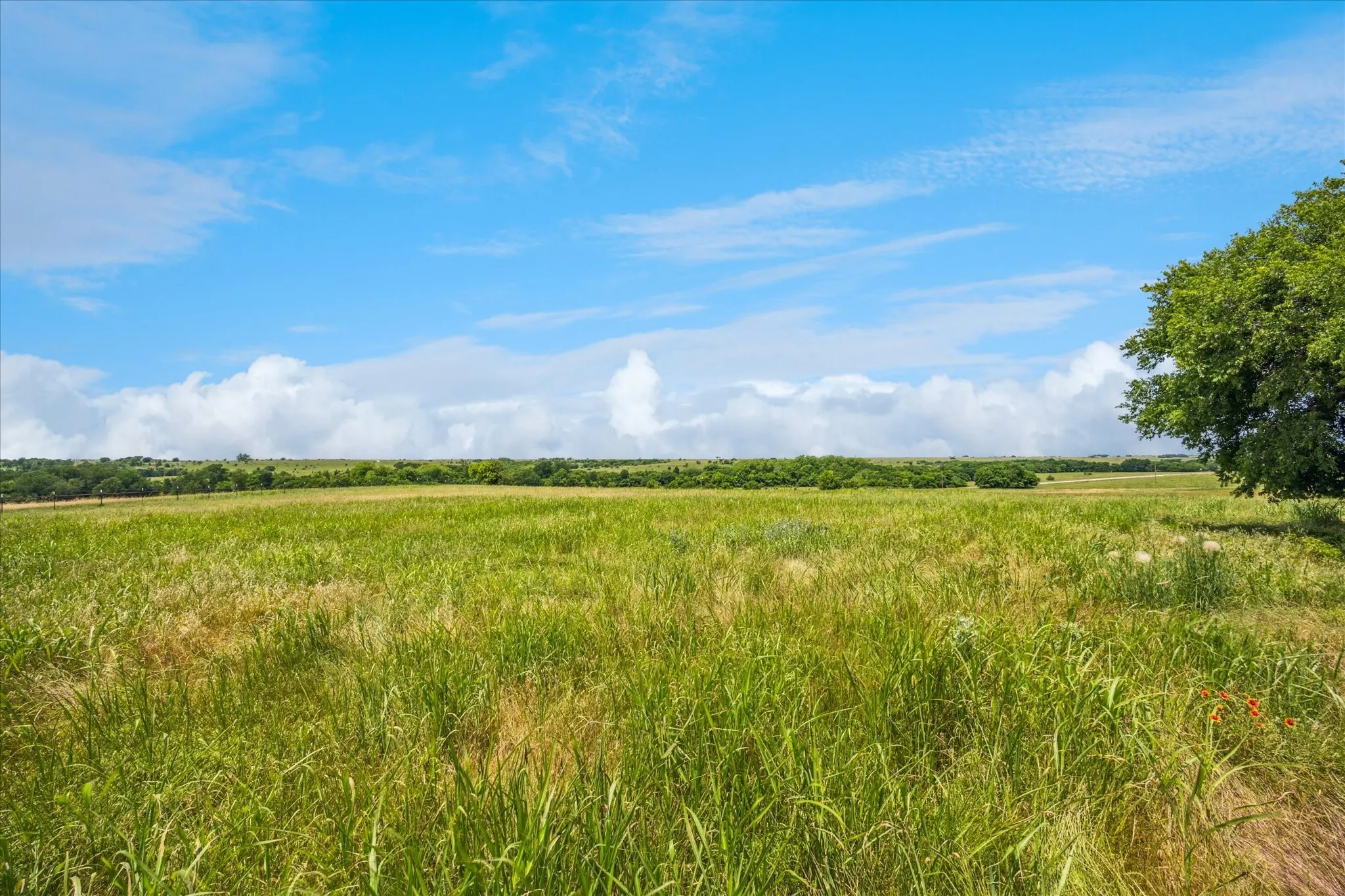Improved Land For Sale in Cooke County , TBD FM 373 S, Muenster, Texas 76252, 0, 0, Garage spaces, 0 Sqft, built in 2021, mls#20940496, Real Estate Agent in Muenster, Homes For Sale in Cooke county, Homes For Sale in Muenster, Realtor in Muenster Texas, Real Estate Brokerage Independent Realty Texas, Luminita Cordes Realtor