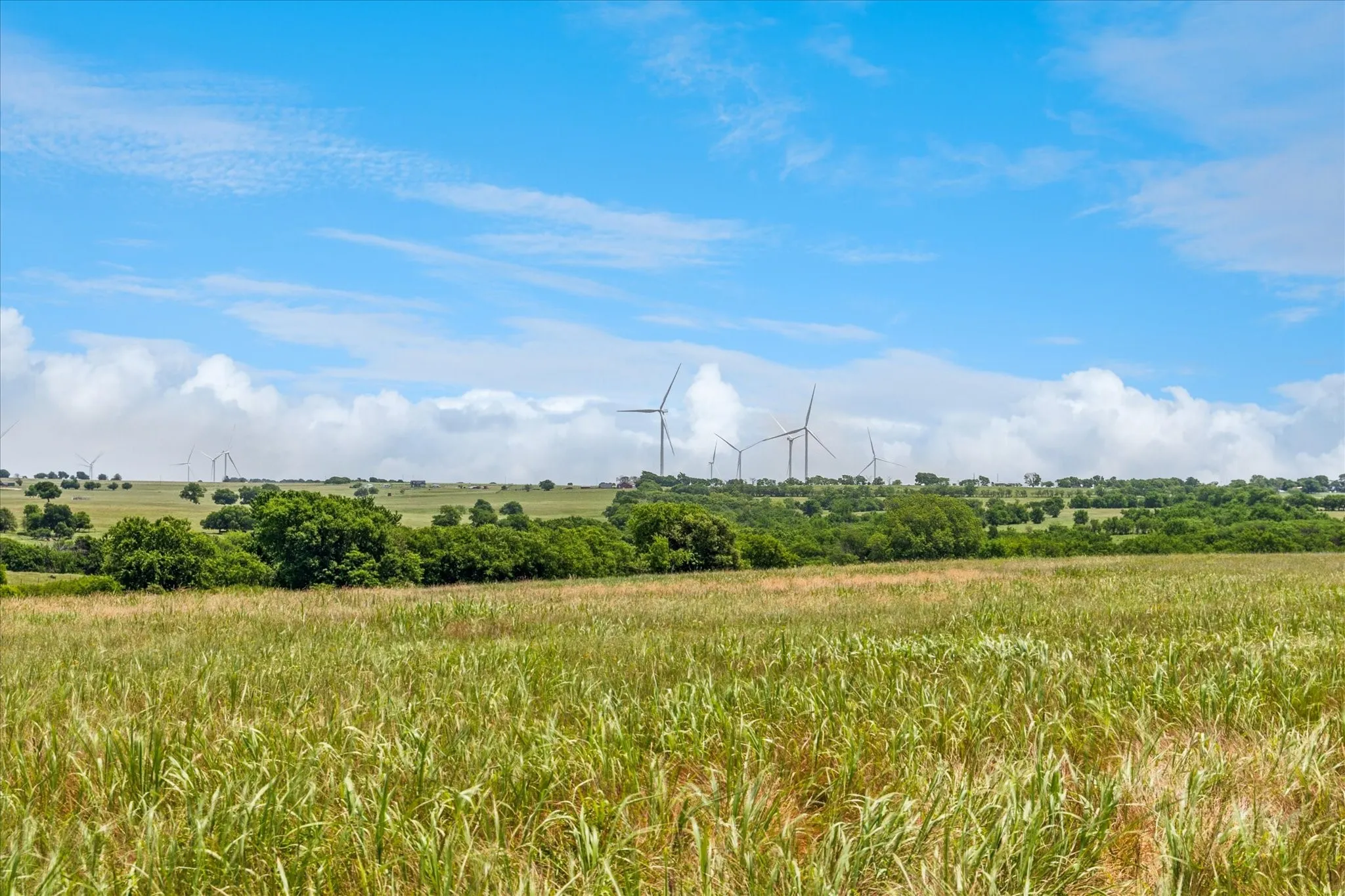 Improved Land For Sale in Cooke County , TBD FM 373 S, Muenster, Texas 76252, 0, 0, Garage spaces, 0 Sqft, built in 2021, mls#20940496, Real Estate Agent in Muenster, Homes For Sale in Cooke county, Homes For Sale in Muenster, Realtor in Muenster Texas, Real Estate Brokerage Independent Realty Texas, Luminita Cordes Realtor
