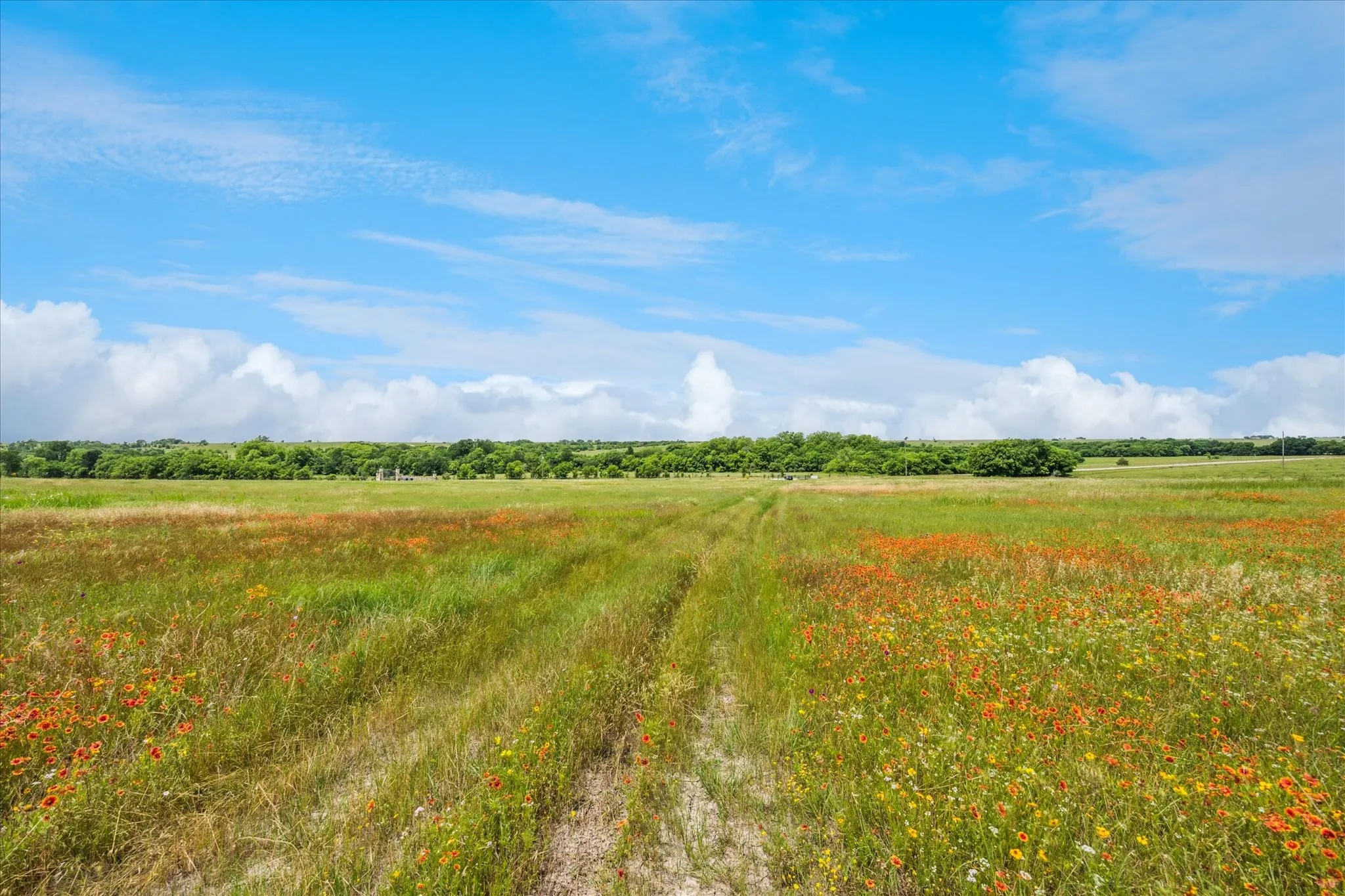 Improved Land For Sale in Cooke County , TBD FM 373 S, Muenster, Texas 76252, 0, 0, Garage spaces, 0 Sqft, built in 2021, mls#20940496, Real Estate Agent in Muenster, Homes For Sale in Cooke county, Homes For Sale in Muenster, Realtor in Muenster Texas, Real Estate Brokerage Independent Realty Texas, Luminita Cordes Realtor