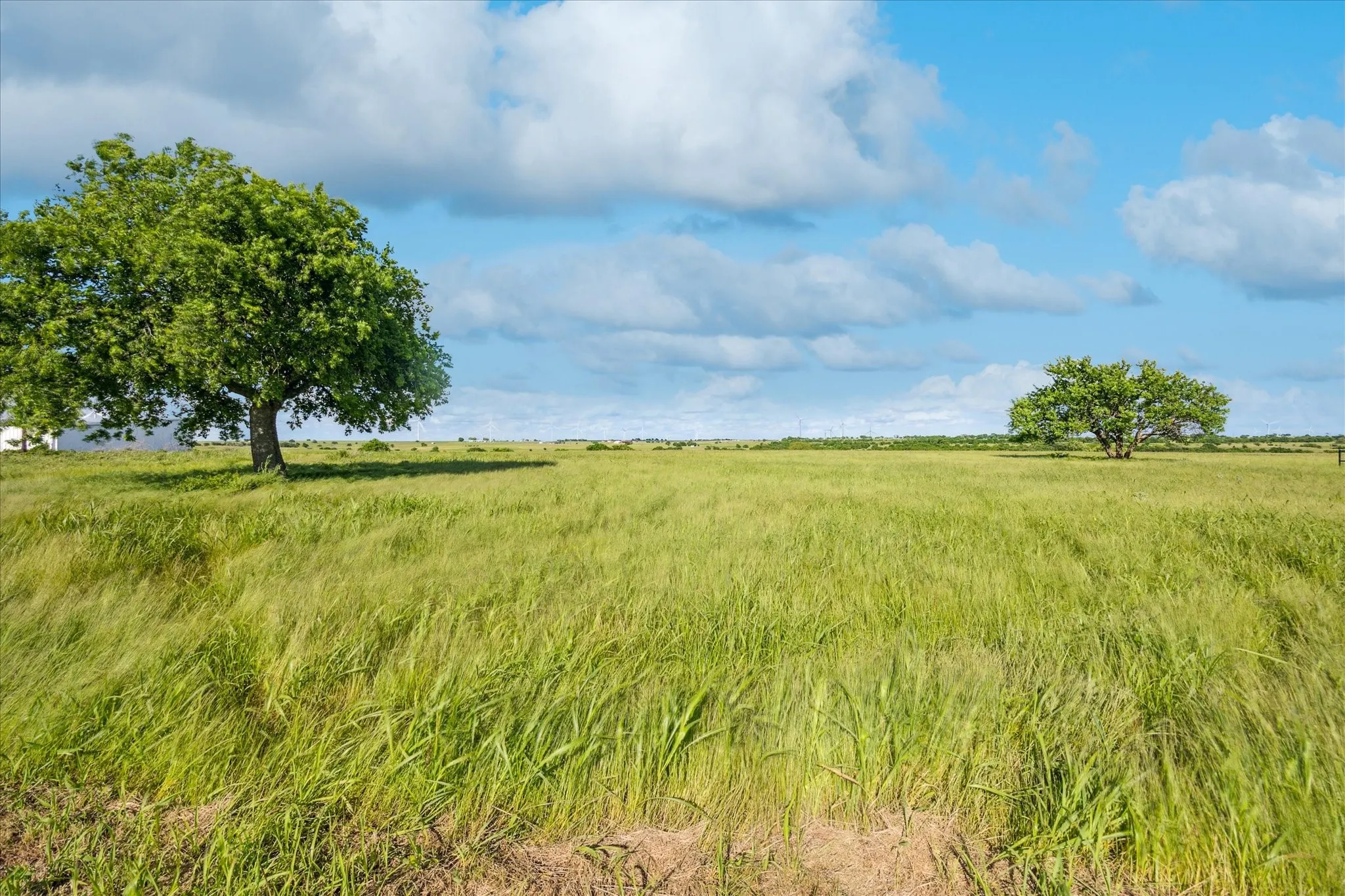 Improved Land For Sale in Cooke County , TBD FM 373 S, Muenster, Texas 76252, 0, 0, Garage spaces, 0 Sqft, built in 2021, mls#20940496, Real Estate Agent in Muenster, Homes For Sale in Cooke county, Homes For Sale in Muenster, Realtor in Muenster Texas, Real Estate Brokerage Independent Realty Texas, Luminita Cordes Realtor