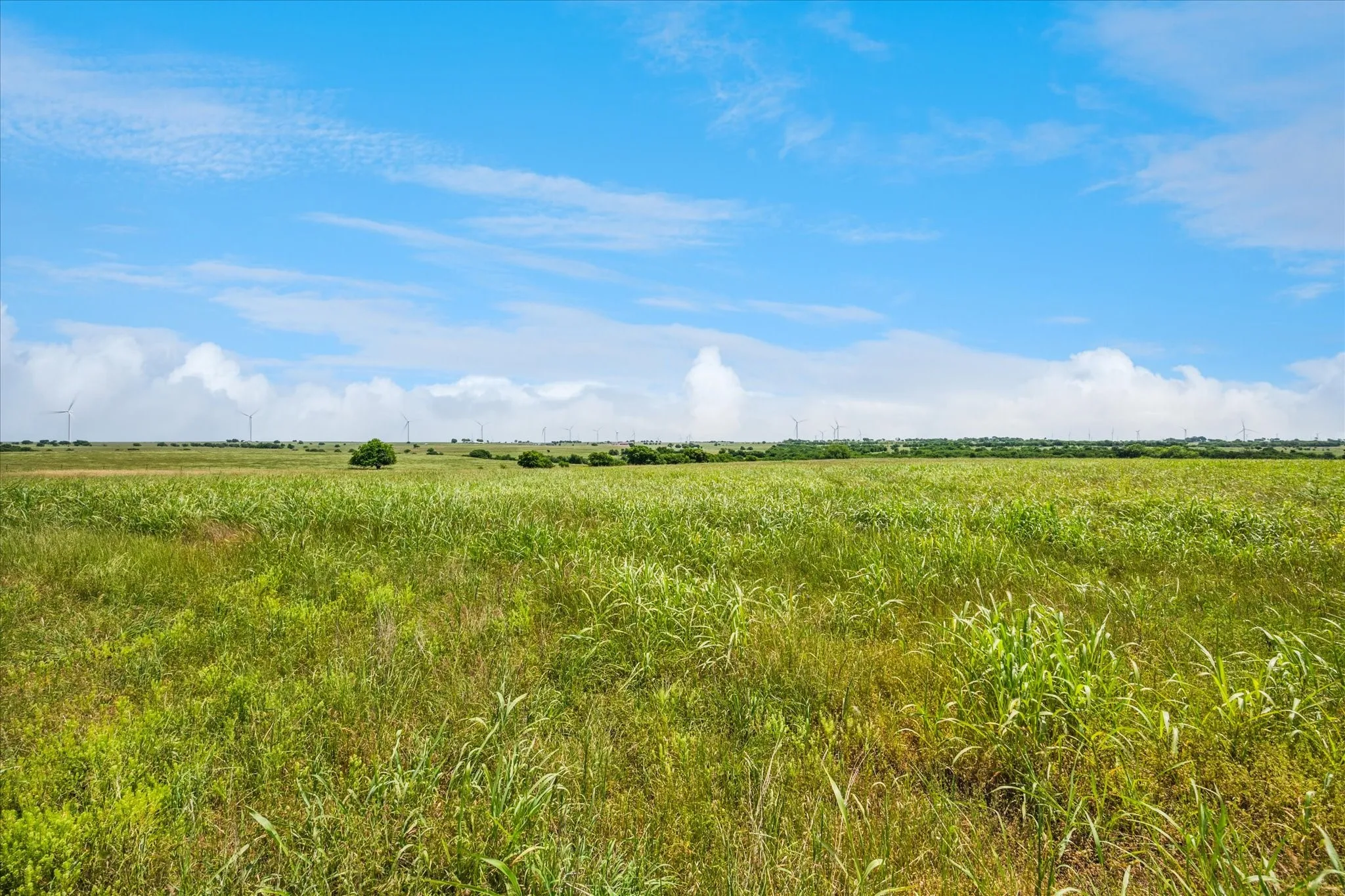 Improved Land For Sale in Cooke County , TBD FM 373 S, Muenster, Texas 76252, 0, 0, Garage spaces, 0 Sqft, built in 2021, mls#20940496, Real Estate Agent in Muenster, Homes For Sale in Cooke county, Homes For Sale in Muenster, Realtor in Muenster Texas, Real Estate Brokerage Independent Realty Texas, Luminita Cordes Realtor