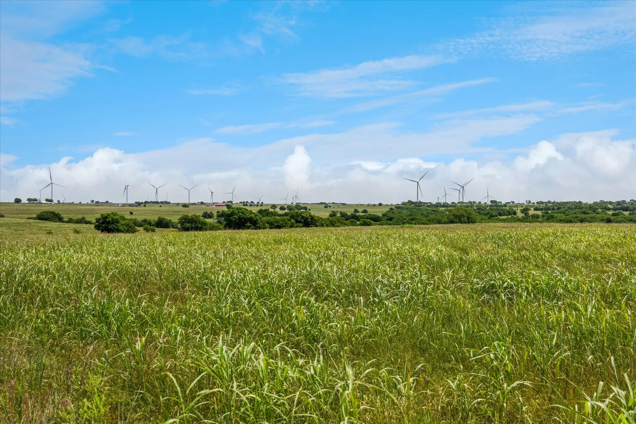 Improved Land For Sale in Cooke County , TBD FM 373 S, Muenster, Texas 76252, 0, 0, Garage spaces, 0 Sqft, built in 2021, mls#20940496, Real Estate Agent in Muenster, Homes For Sale in Cooke county, Homes For Sale in Muenster, Realtor in Muenster Texas, Real Estate Brokerage Independent Realty Texas, Luminita Cordes Realtor