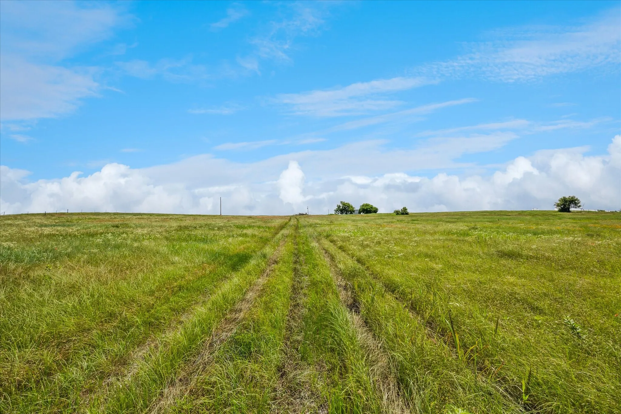 Improved Land For Sale in Cooke County , TBD FM 373 S, Muenster, Texas 76252, 0, 0, Garage spaces, 0 Sqft, built in 2021, mls#20940496, Real Estate Agent in Muenster, Homes For Sale in Cooke county, Homes For Sale in Muenster, Realtor in Muenster Texas, Real Estate Brokerage Independent Realty Texas, Luminita Cordes Realtor