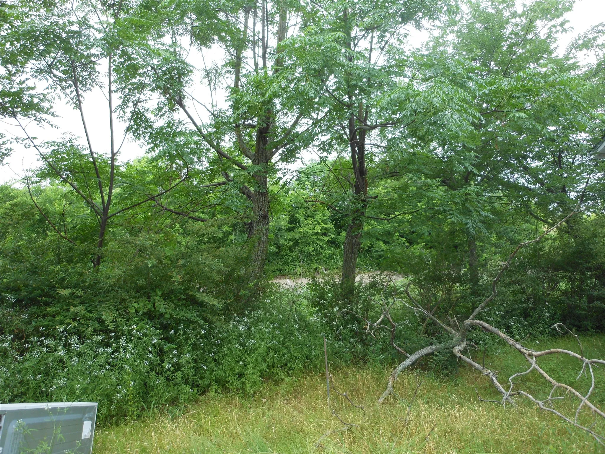 Partially cleared, yet has trees along the property lines