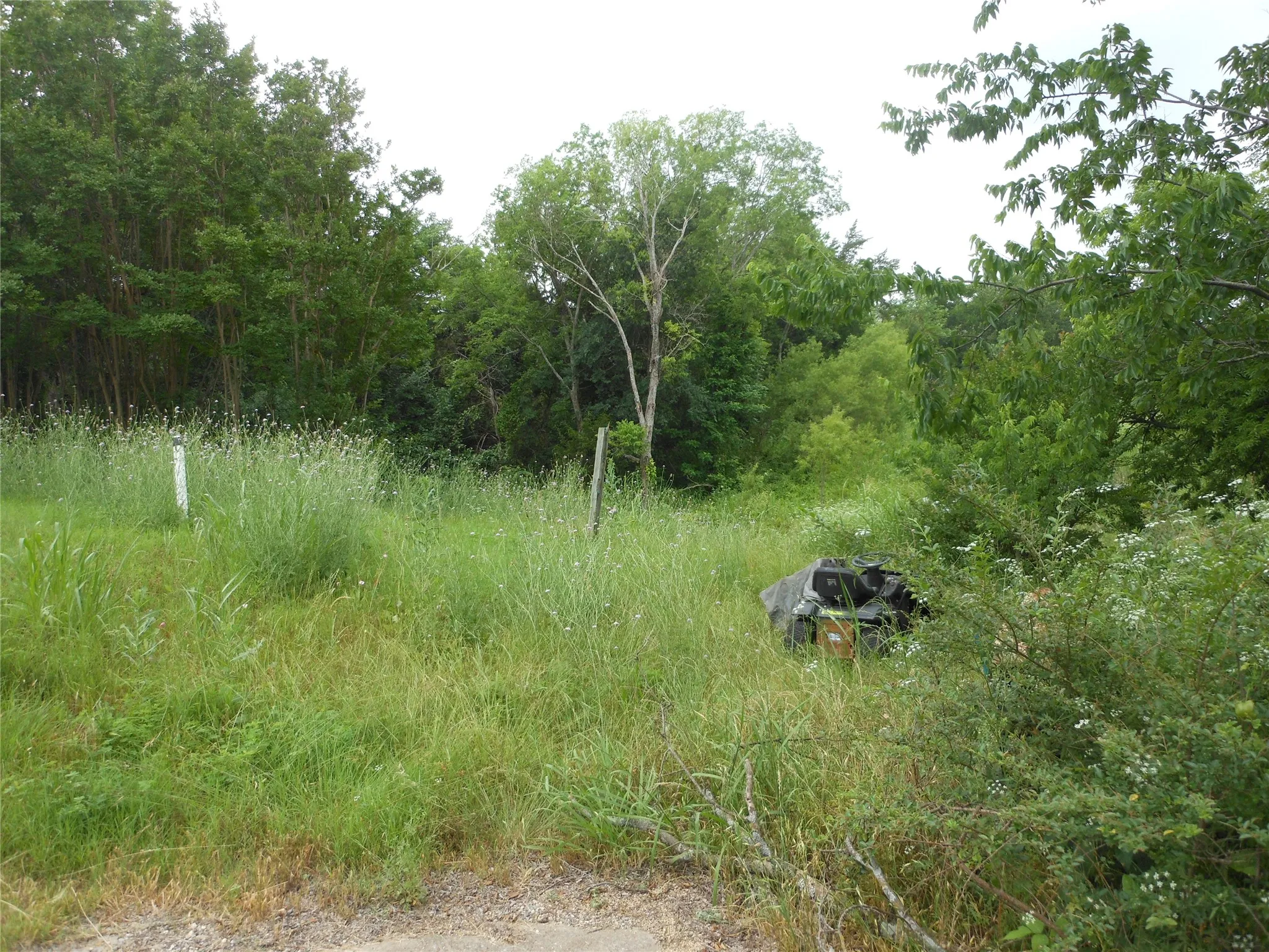 Property is partially cleared
