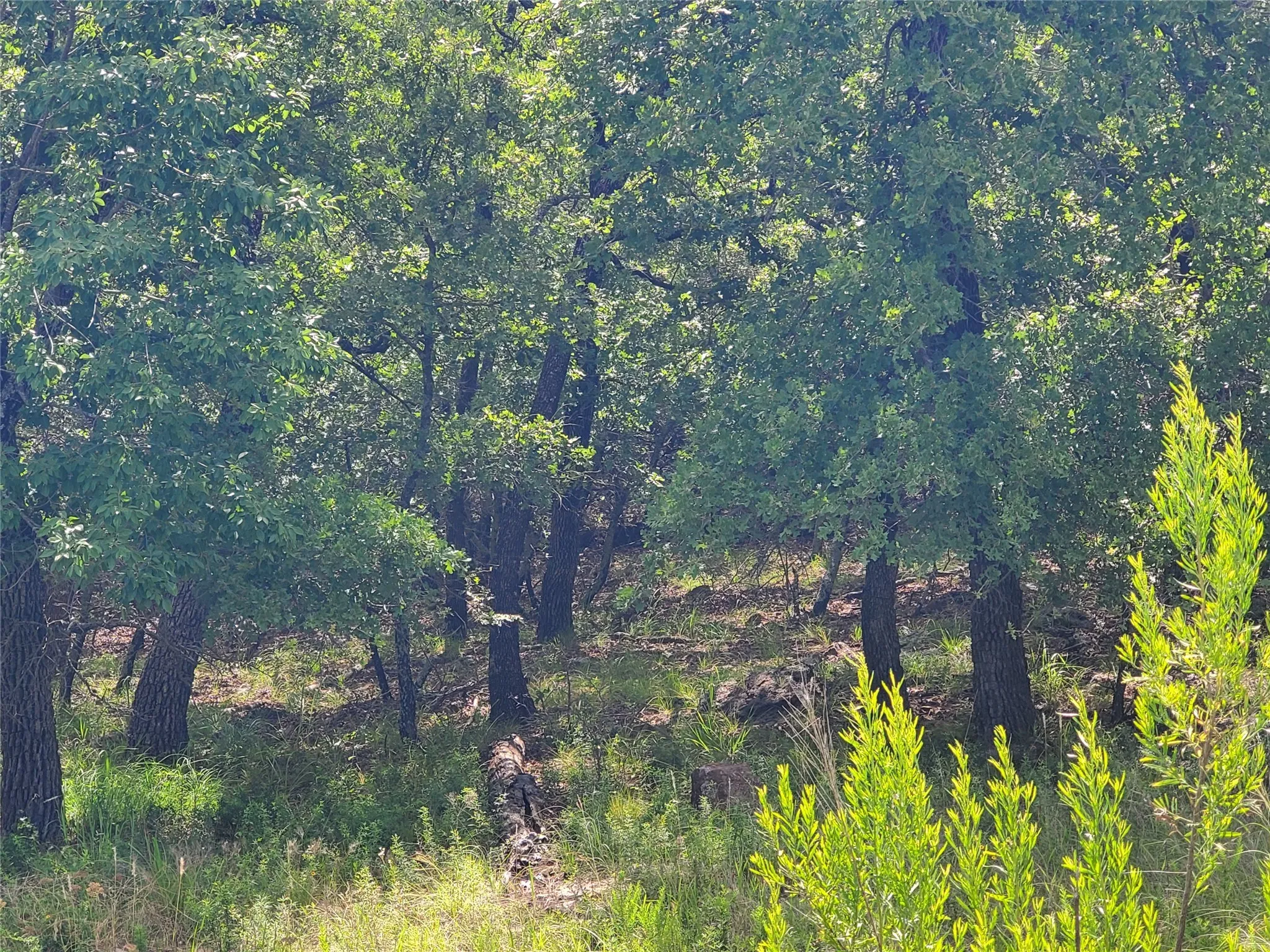 Unimproved Land For Sale in Montague County , Lot 649 Horizon Ridge, Sunset, Texas 76270, 0, 0, Garage spaces, 0 Sqft, built in 0, mls#20940721, Real Estate Agent in Sunset, Homes For Sale in Montague county, Homes For Sale in Sunset, Realtor in Sunset Texas, Real Estate Brokerage Independent Realty Texas, Luminita Cordes Realtor