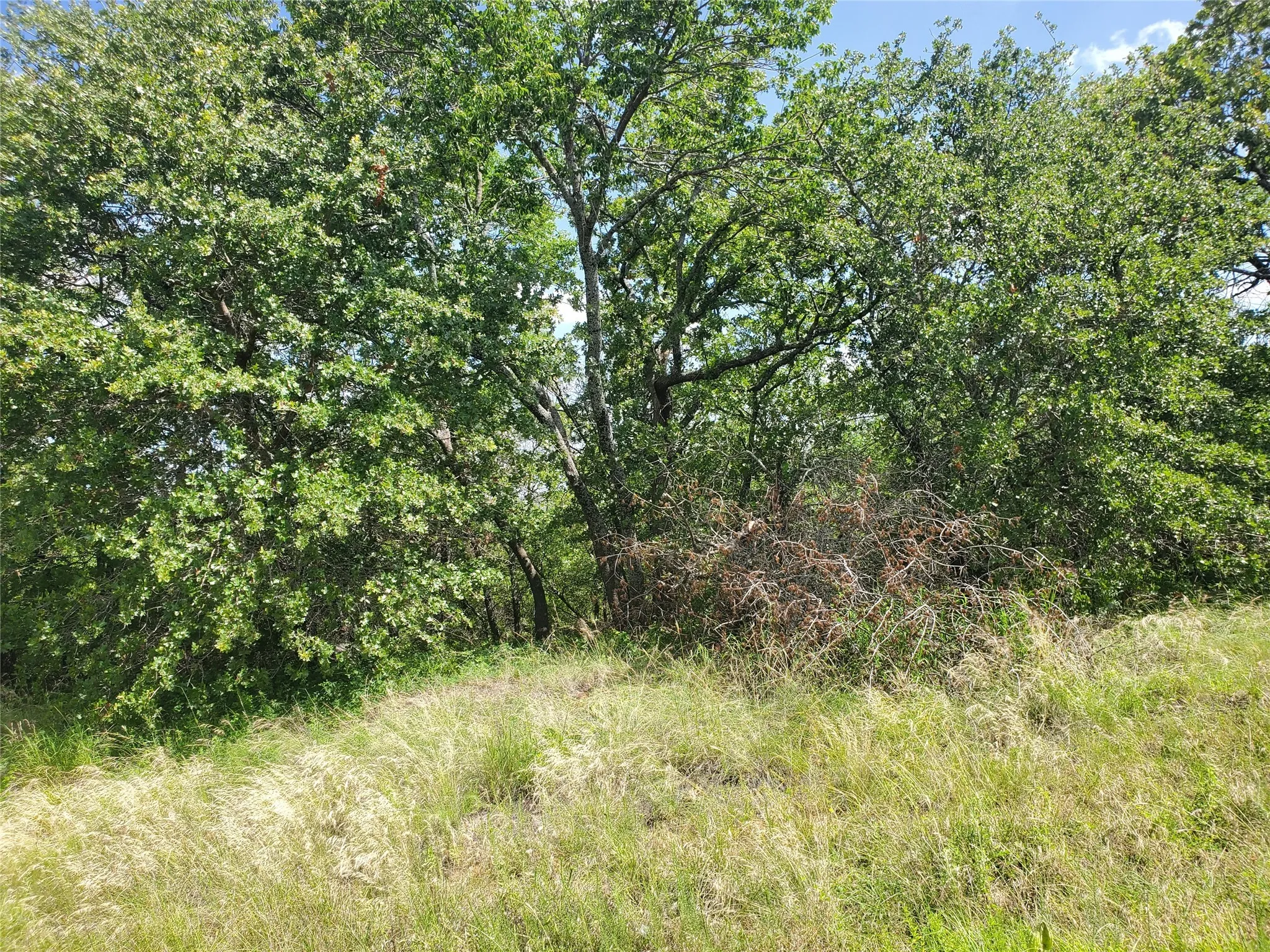 Unimproved Land For Sale in Montague County , Lot 649 Horizon Ridge, Sunset, Texas 76270, 0, 0, Garage spaces, 0 Sqft, built in 0, mls#20940721, Real Estate Agent in Sunset, Homes For Sale in Montague county, Homes For Sale in Sunset, Realtor in Sunset Texas, Real Estate Brokerage Independent Realty Texas, Luminita Cordes Realtor