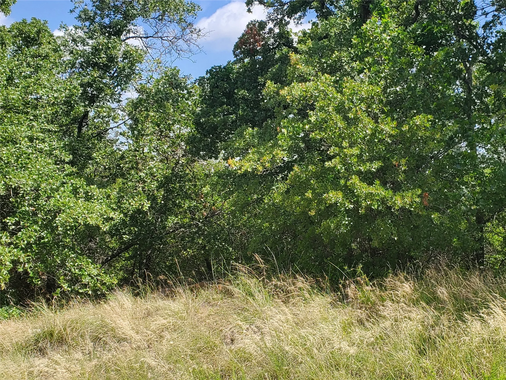 Unimproved Land For Sale in Montague County , Lot 649 Horizon Ridge, Sunset, Texas 76270, 0, 0, Garage spaces, 0 Sqft, built in 0, mls#20940721, Real Estate Agent in Sunset, Homes For Sale in Montague county, Homes For Sale in Sunset, Realtor in Sunset Texas, Real Estate Brokerage Independent Realty Texas, Luminita Cordes Realtor