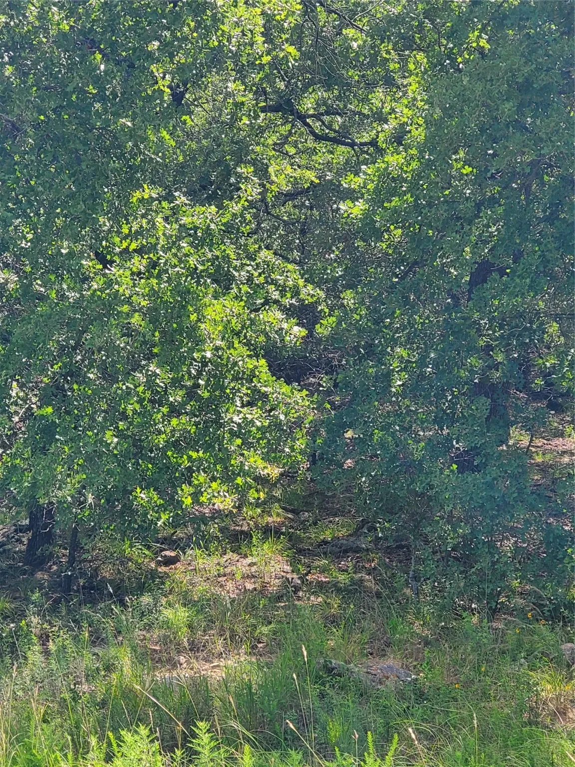 Unimproved Land For Sale in Montague County , Lot 649 Horizon Ridge, Sunset, Texas 76270, 0, 0, Garage spaces, 0 Sqft, built in 0, mls#20940721, Real Estate Agent in Sunset, Homes For Sale in Montague county, Homes For Sale in Sunset, Realtor in Sunset Texas, Real Estate Brokerage Independent Realty Texas, Luminita Cordes Realtor