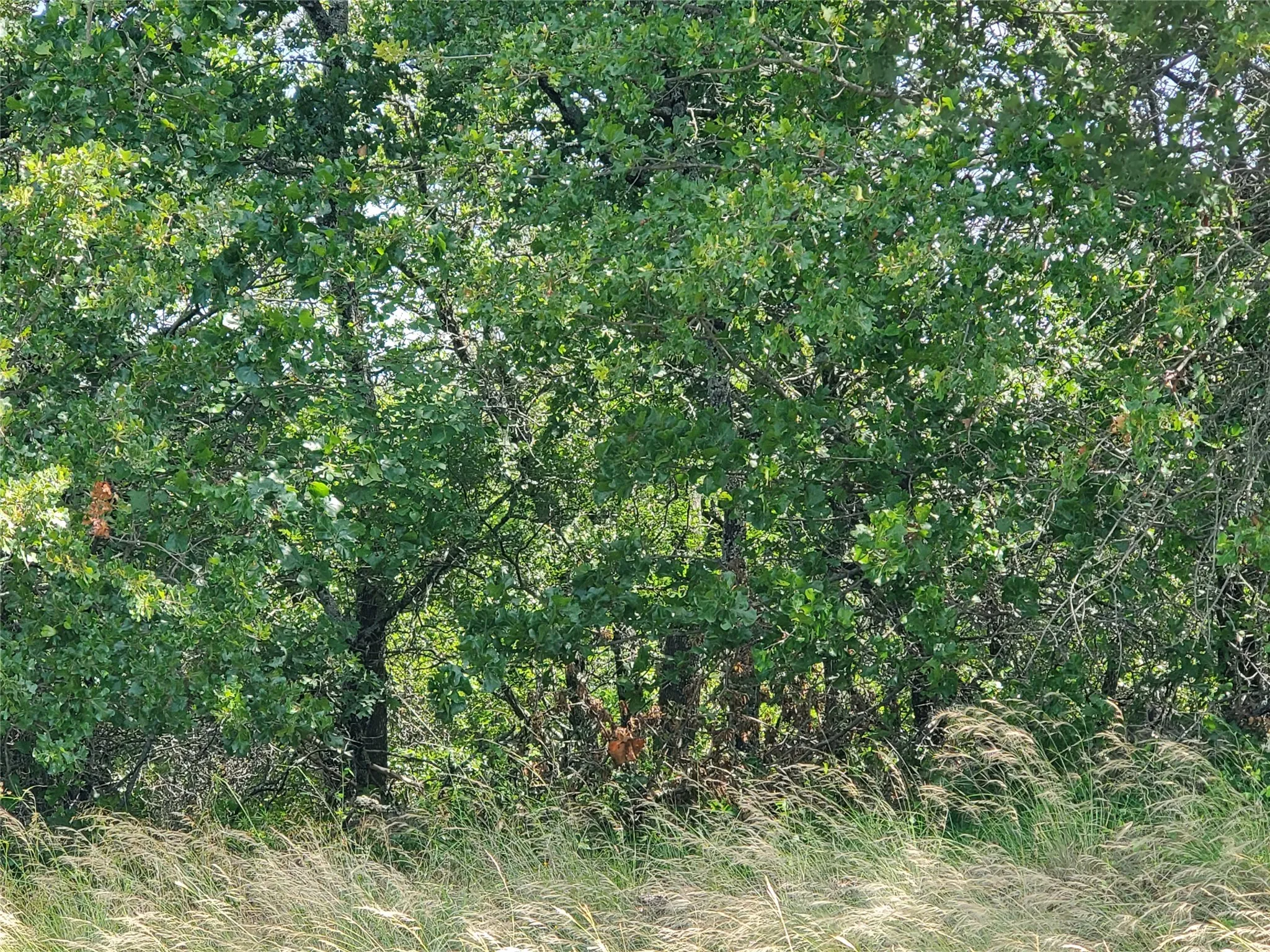 Unimproved Land For Sale in Montague County , Lot 649 Horizon Ridge, Sunset, Texas 76270, 0, 0, Garage spaces, 0 Sqft, built in 0, mls#20940721, Real Estate Agent in Sunset, Homes For Sale in Montague county, Homes For Sale in Sunset, Realtor in Sunset Texas, Real Estate Brokerage Independent Realty Texas, Luminita Cordes Realtor