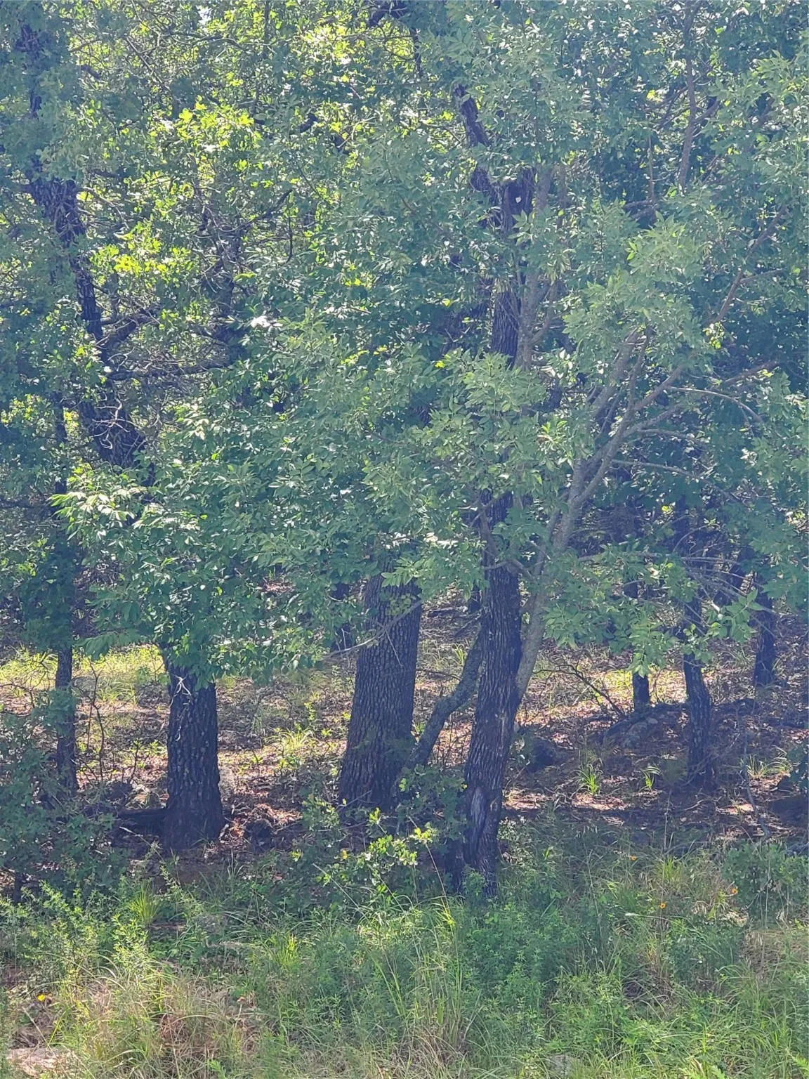 Unimproved Land For Sale in Montague County , Lot 649 Horizon Ridge, Sunset, Texas 76270, 0, 0, Garage spaces, 0 Sqft, built in 0, mls#20940721, Real Estate Agent in Sunset, Homes For Sale in Montague county, Homes For Sale in Sunset, Realtor in Sunset Texas, Real Estate Brokerage Independent Realty Texas, Luminita Cordes Realtor