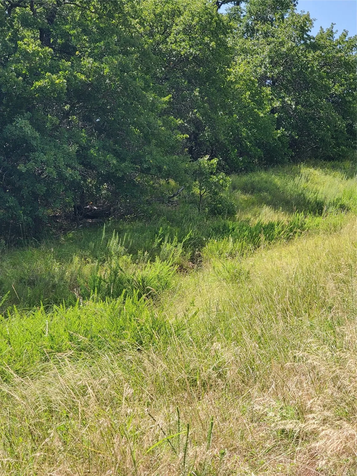 Unimproved Land For Sale in Montague County , Lot 649 Horizon Ridge, Sunset, Texas 76270, 0, 0, Garage spaces, 0 Sqft, built in 0, mls#20940721, Real Estate Agent in Sunset, Homes For Sale in Montague county, Homes For Sale in Sunset, Realtor in Sunset Texas, Real Estate Brokerage Independent Realty Texas, Luminita Cordes Realtor