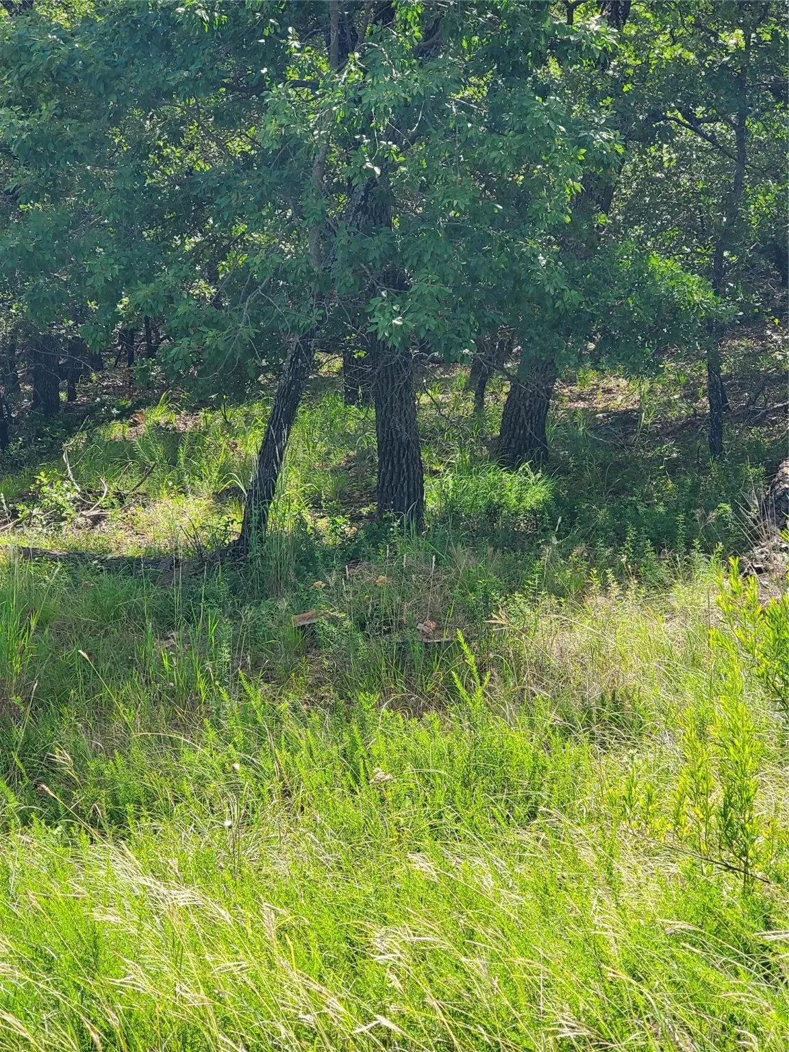 Unimproved Land For Sale in Montague County , Lot 649 Horizon Ridge, Sunset, Texas 76270, 0, 0, Garage spaces, 0 Sqft, built in 0, mls#20940721, Real Estate Agent in Sunset, Homes For Sale in Montague county, Homes For Sale in Sunset, Realtor in Sunset Texas, Real Estate Brokerage Independent Realty Texas, Luminita Cordes Realtor