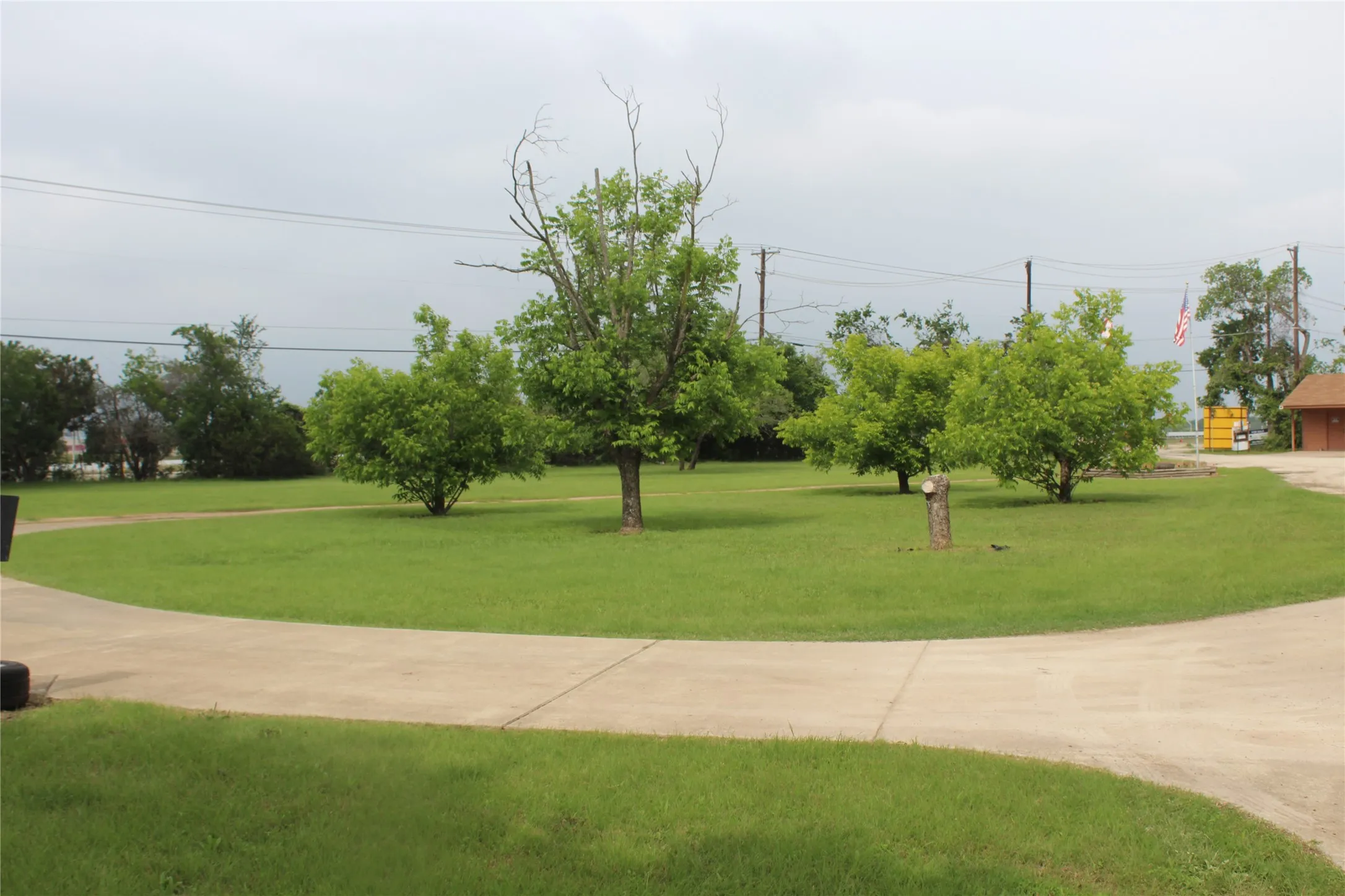 Expansive grassy area featuring multiple mature trees and a paved circular driveway