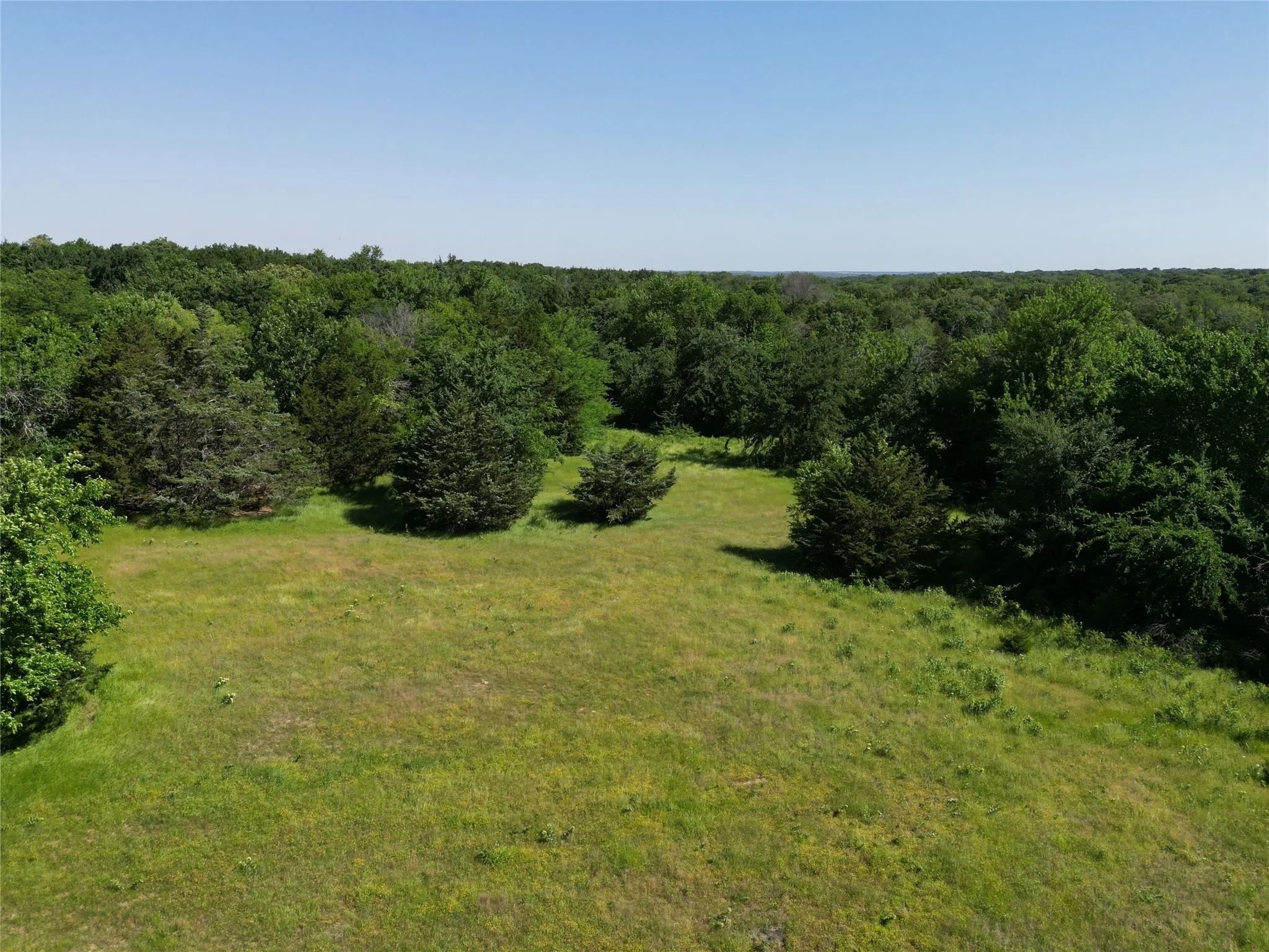 Unimproved Land For Sale in Cooke County , TBD County Road 127, Whitesboro, Texas 76273, 0, 0, Garage spaces, 0 Sqft, built in 0, mls#20921109, Real Estate Agent in Whitesboro, Homes For Sale in Cooke county, Homes For Sale in Whitesboro, Realtor in Whitesboro Texas, Real Estate Brokerage Independent Realty Texas, Luminita Cordes Realtor