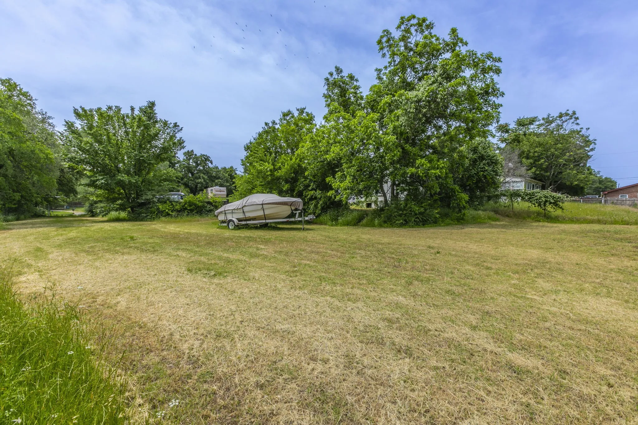 View of grassy yard