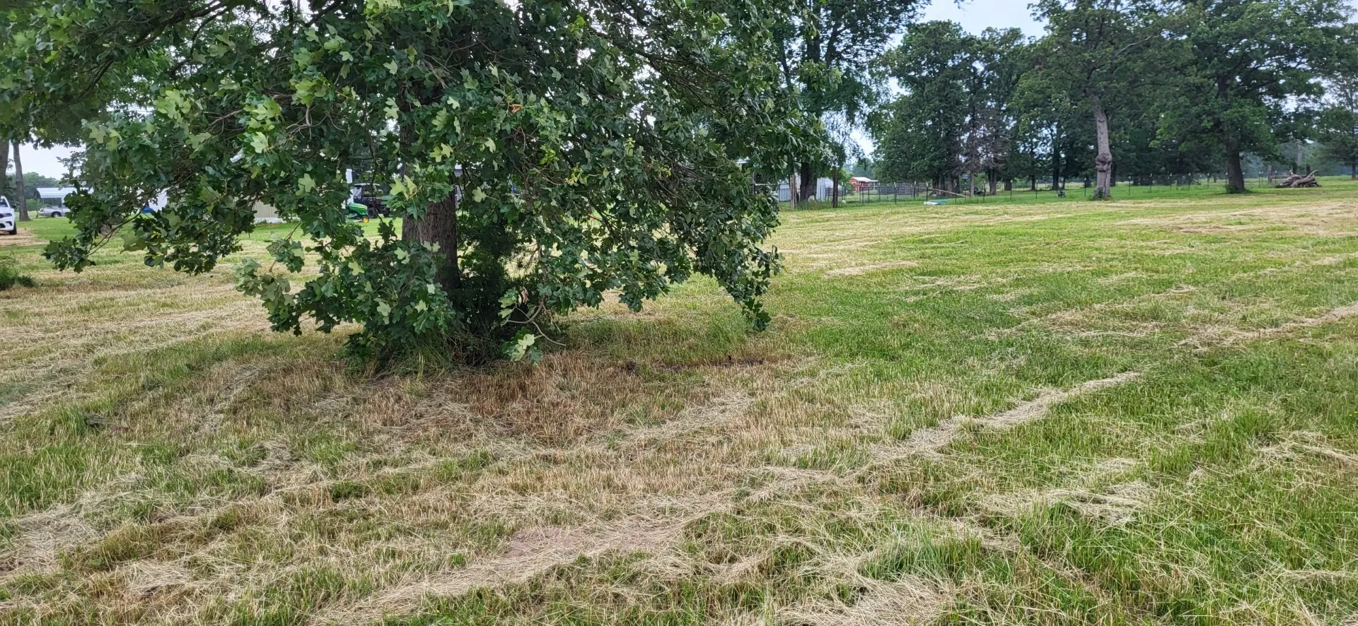 Unimproved Land For Sale in Wood County , TBD CR 1730, Yantis, Texas 75497, 0, 0, Garage spaces, 0 Sqft, built in 0, Price $58,000, mls#20942445, Real Estate Agent in Yantis, Homes For Sale in Wood county, Homes For Sale in Yantis, Realtor in Yantis Texas, Real Estate Brokerage Independent Realty Texas, Luminita Cordes Realtor