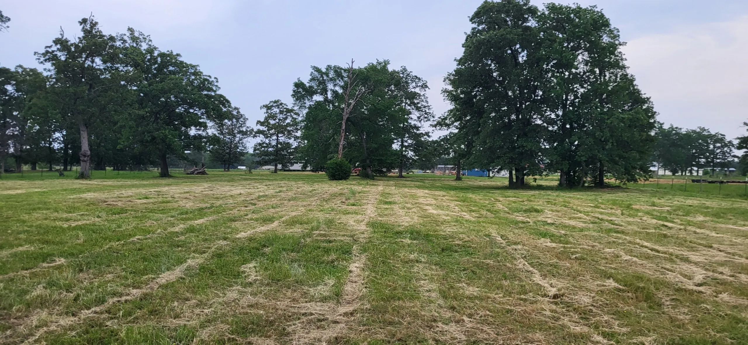 Unimproved Land For Sale in Wood County , TBD CR 1730, Yantis, Texas 75497, 0, 0, Garage spaces, 0 Sqft, built in 0, Price $58,000, mls#20942445, Real Estate Agent in Yantis, Homes For Sale in Wood county, Homes For Sale in Yantis, Realtor in Yantis Texas, Real Estate Brokerage Independent Realty Texas, Luminita Cordes Realtor