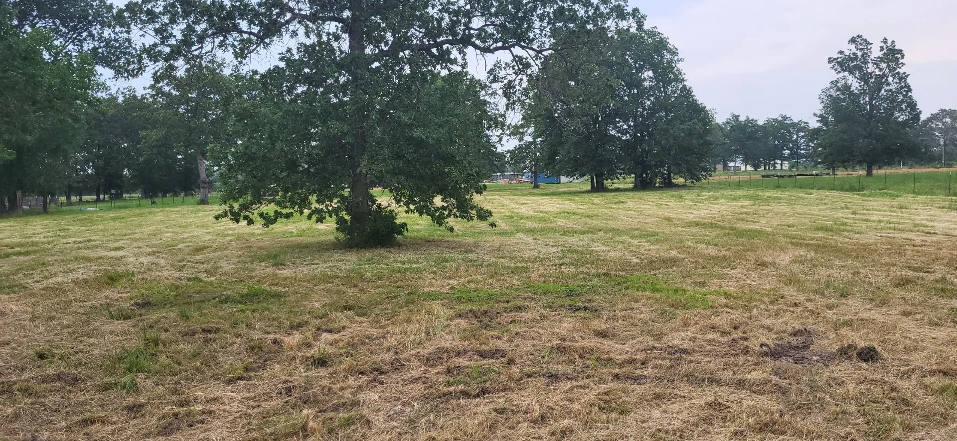 Unimproved Land For Sale in Wood County , TBD CR 1730, Yantis, Texas 75497, 0, 0, Garage spaces, 0 Sqft, built in 0, Price $58,000, mls#20942445, Real Estate Agent in Yantis, Homes For Sale in Wood county, Homes For Sale in Yantis, Realtor in Yantis Texas, Real Estate Brokerage Independent Realty Texas, Luminita Cordes Realtor