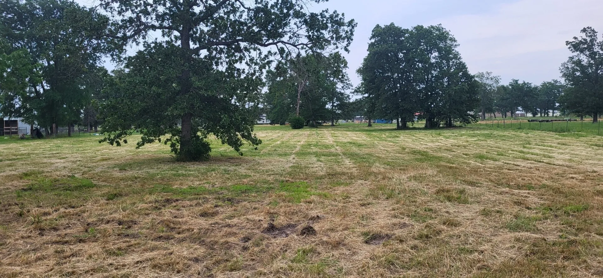 Unimproved Land For Sale in Wood County , TBD CR 1730, Yantis, Texas 75497, 0, 0, Garage spaces, 0 Sqft, built in 0, Price $58,000, mls#20942445, Real Estate Agent in Yantis, Homes For Sale in Wood county, Homes For Sale in Yantis, Realtor in Yantis Texas, Real Estate Brokerage Independent Realty Texas, Luminita Cordes Realtor