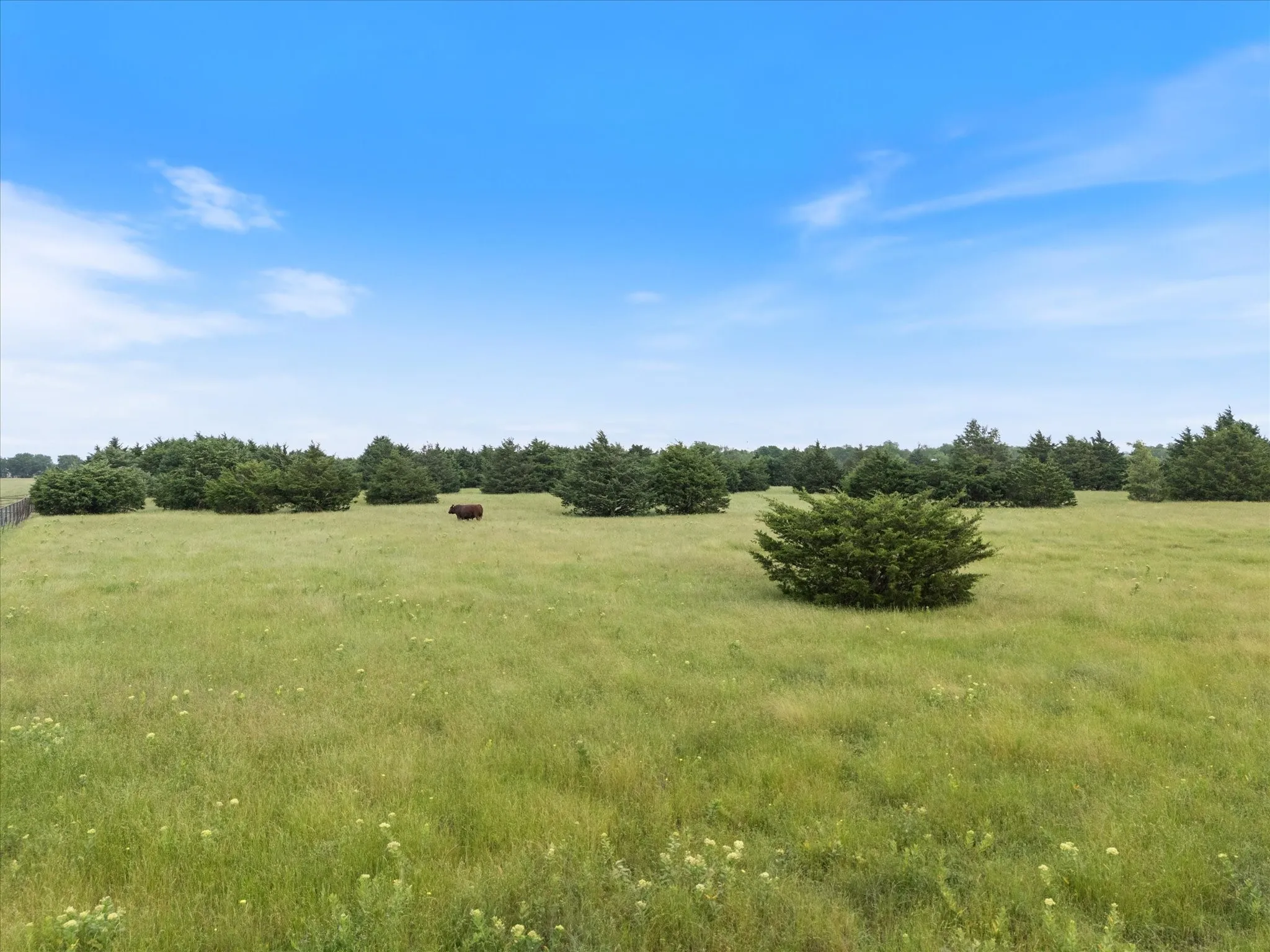 View of nature featuring rural landscape
