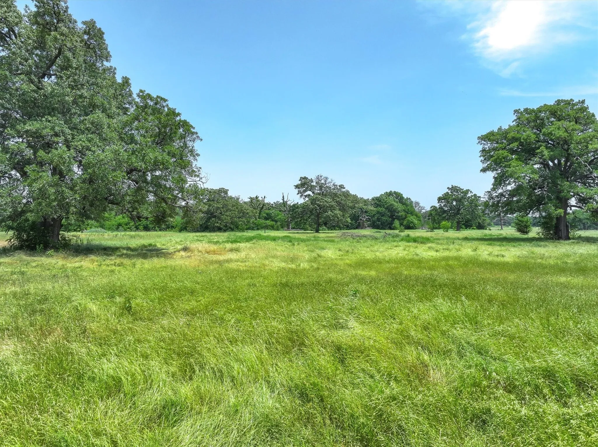 View of local wilderness with rural landscape