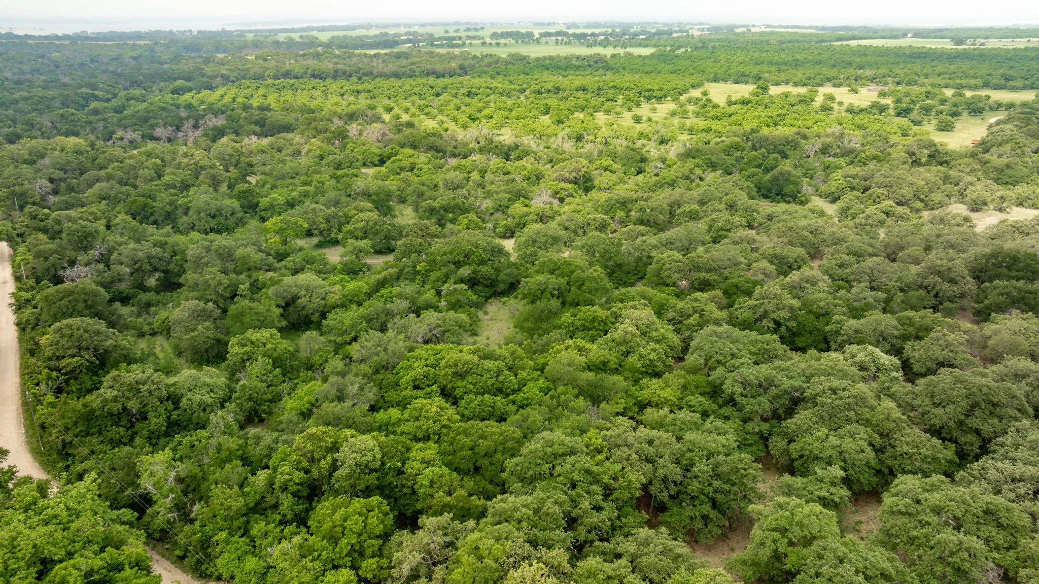 Farm For Sale in Comanche County , 2850 County Road 434, Dublin, Texas 76446, 2 Bedroom, 2 Bathroom, Garage spaces, 1,008 Sqft, built in 1970, mls#20944281, Real Estate Agent in Dublin, Homes For Sale in Comanche county, Homes For Sale in Dublin, Realtor in Dublin Texas, Real Estate Brokerage Independent Realty Texas, Luminita Cordes Realtor