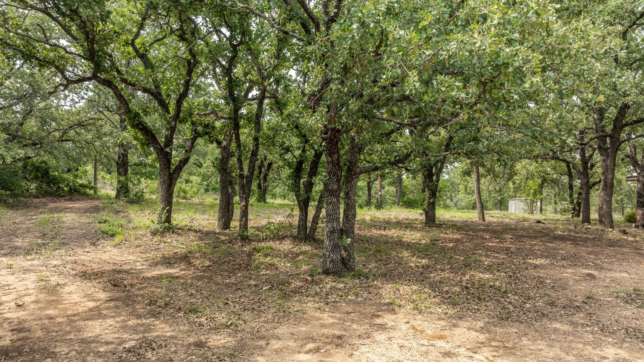 Farm For Sale in Comanche County , 2850 County Road 434, Dublin, Texas 76446, 2 Bedroom, 2 Bathroom, Garage spaces, 1,008 Sqft, built in 1970, mls#20944281, Real Estate Agent in Dublin, Homes For Sale in Comanche county, Homes For Sale in Dublin, Realtor in Dublin Texas, Real Estate Brokerage Independent Realty Texas, Luminita Cordes Realtor